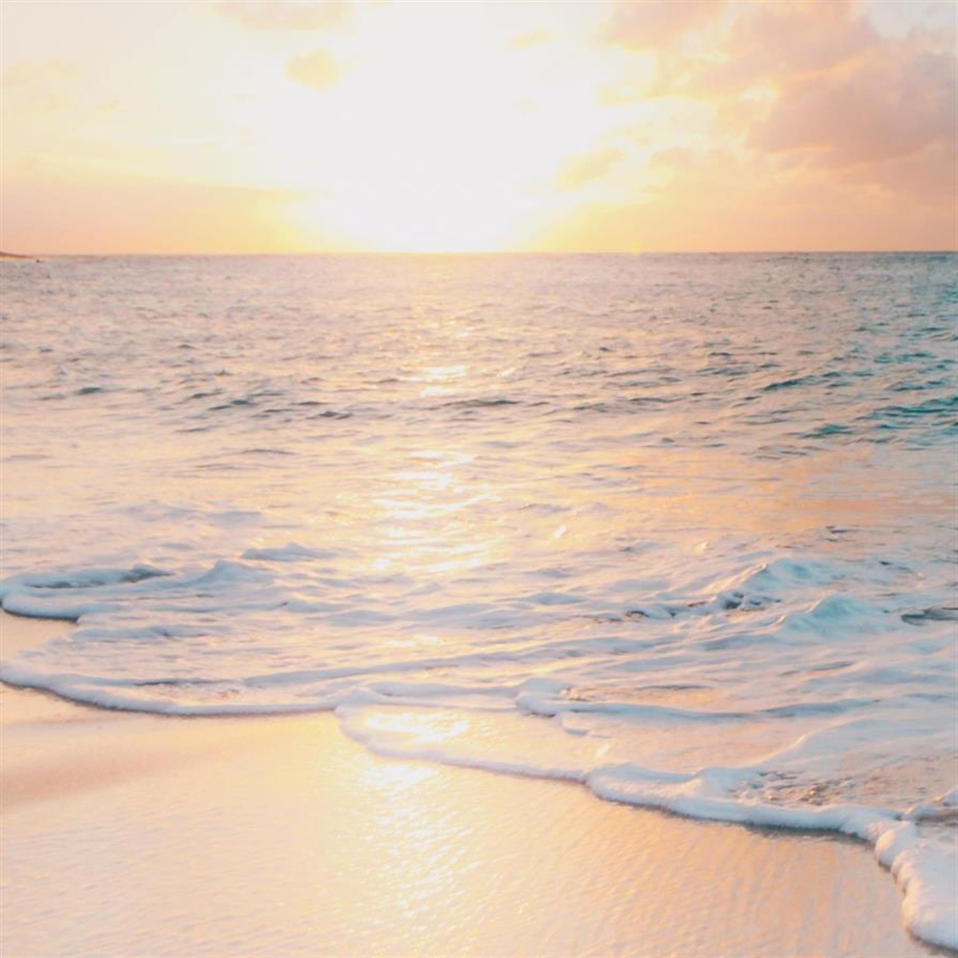 Maryann Meleane Folasa's obituary picture