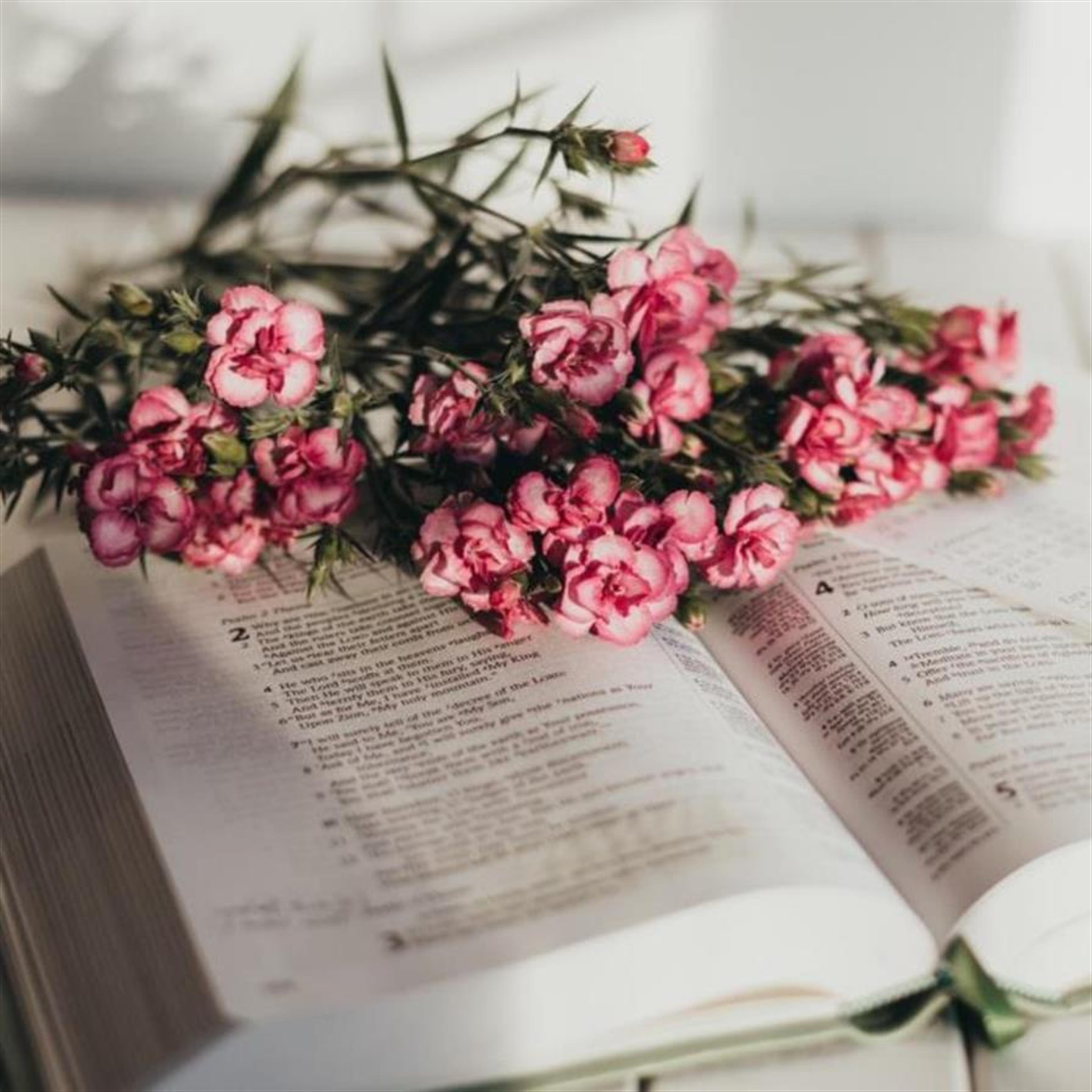 Ms. Jeanette Clayton Baker's obituary picture