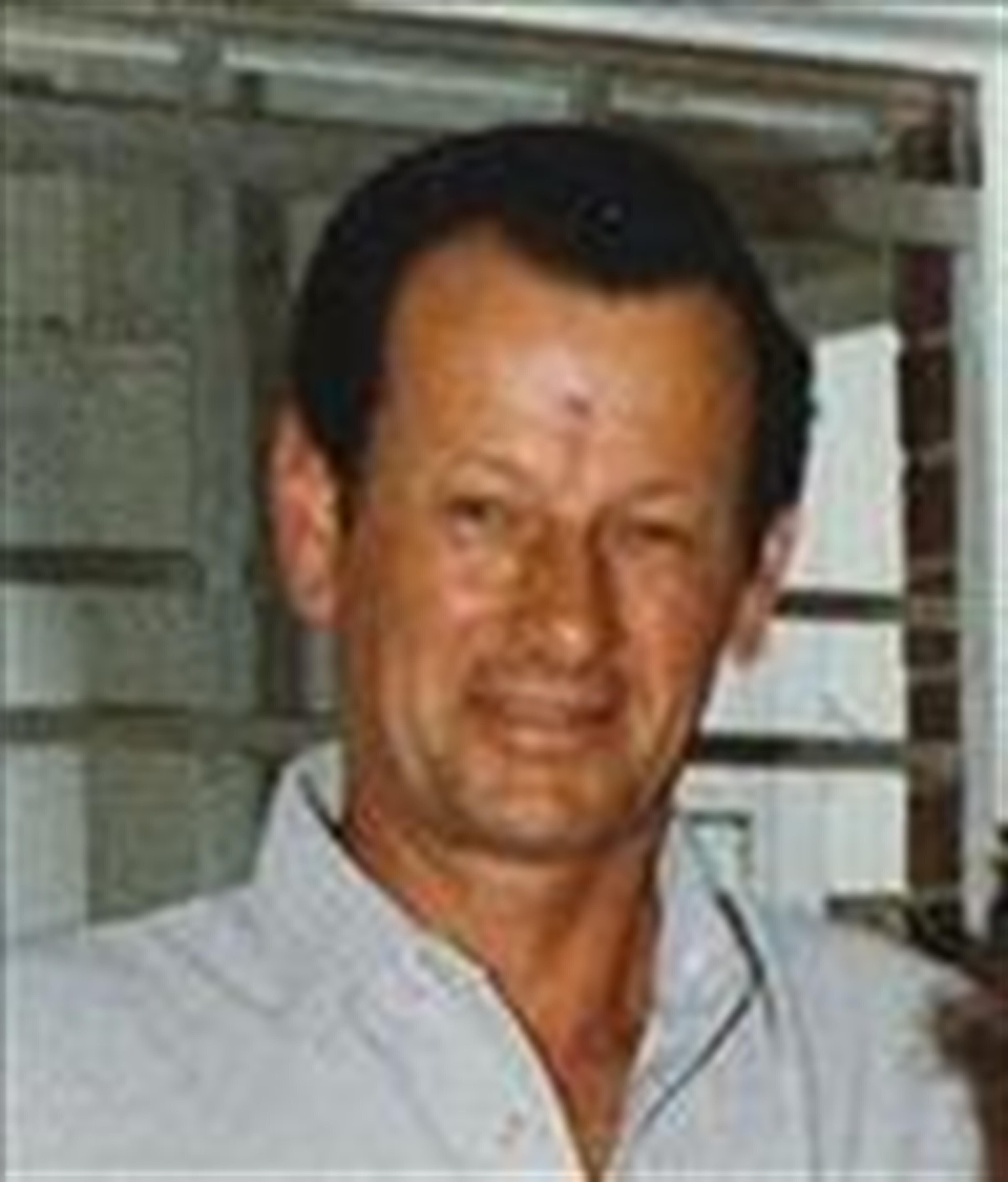 Harry L. Witmer