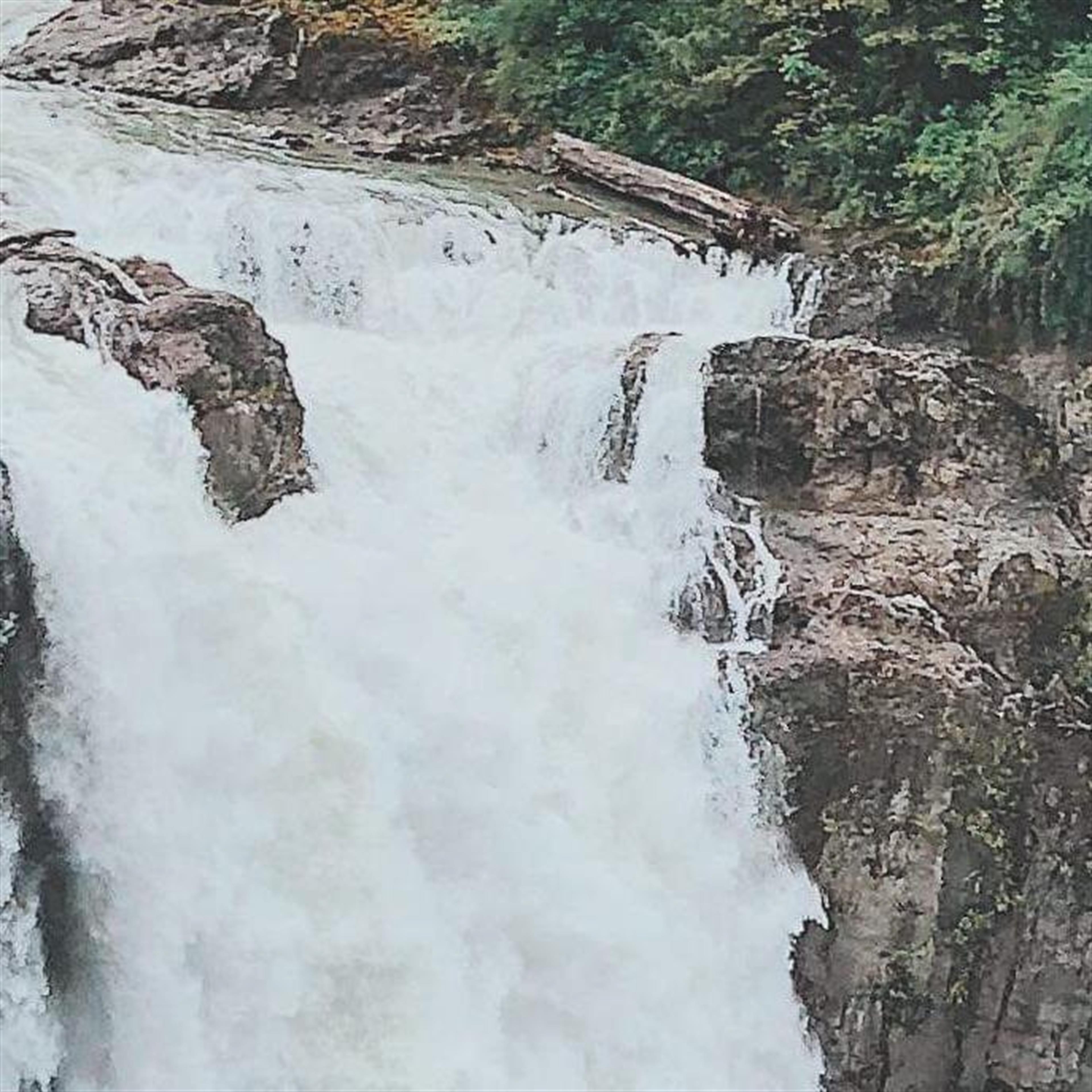 Dean Roy Lacy's obituary picture