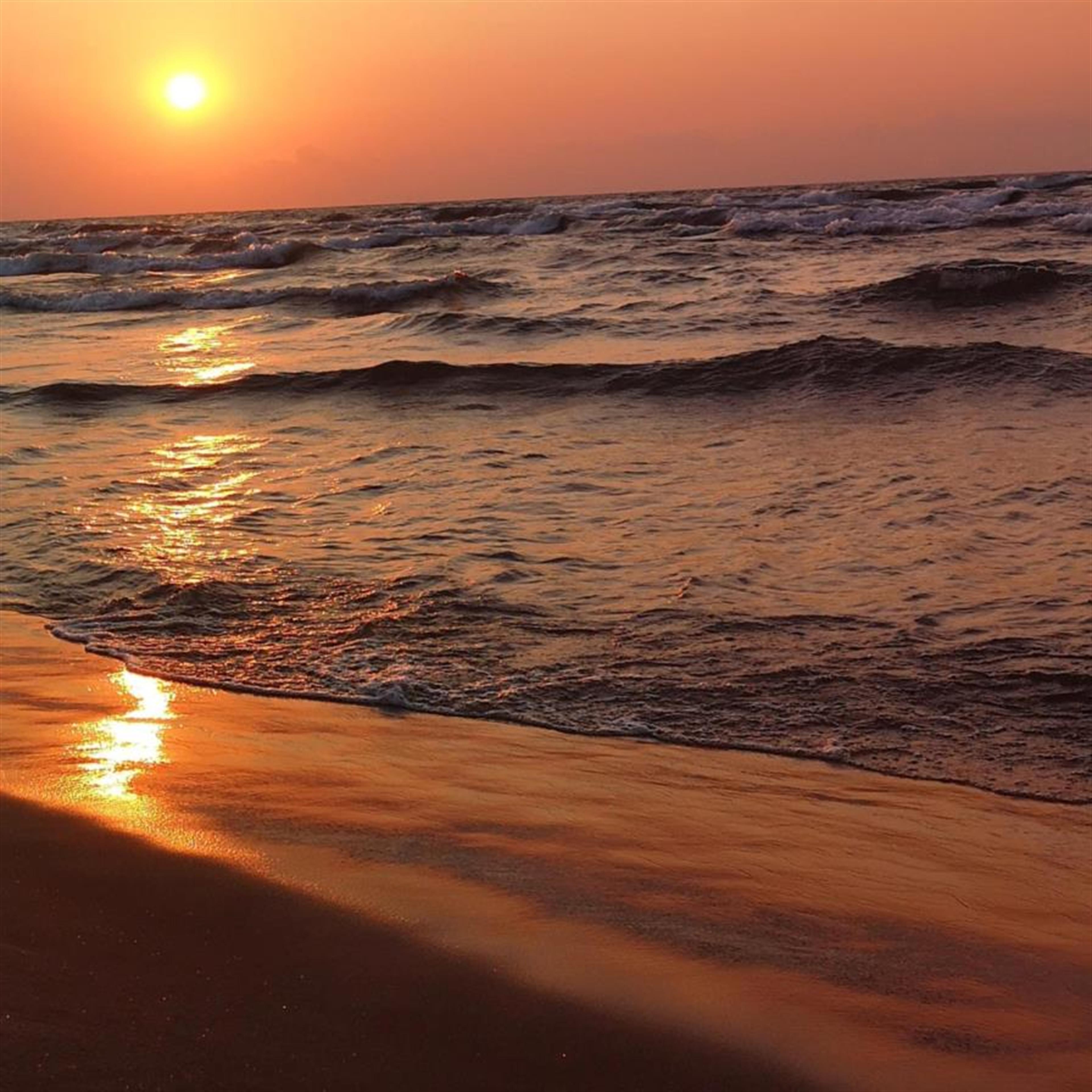 Alice P. Williams' obituary picture