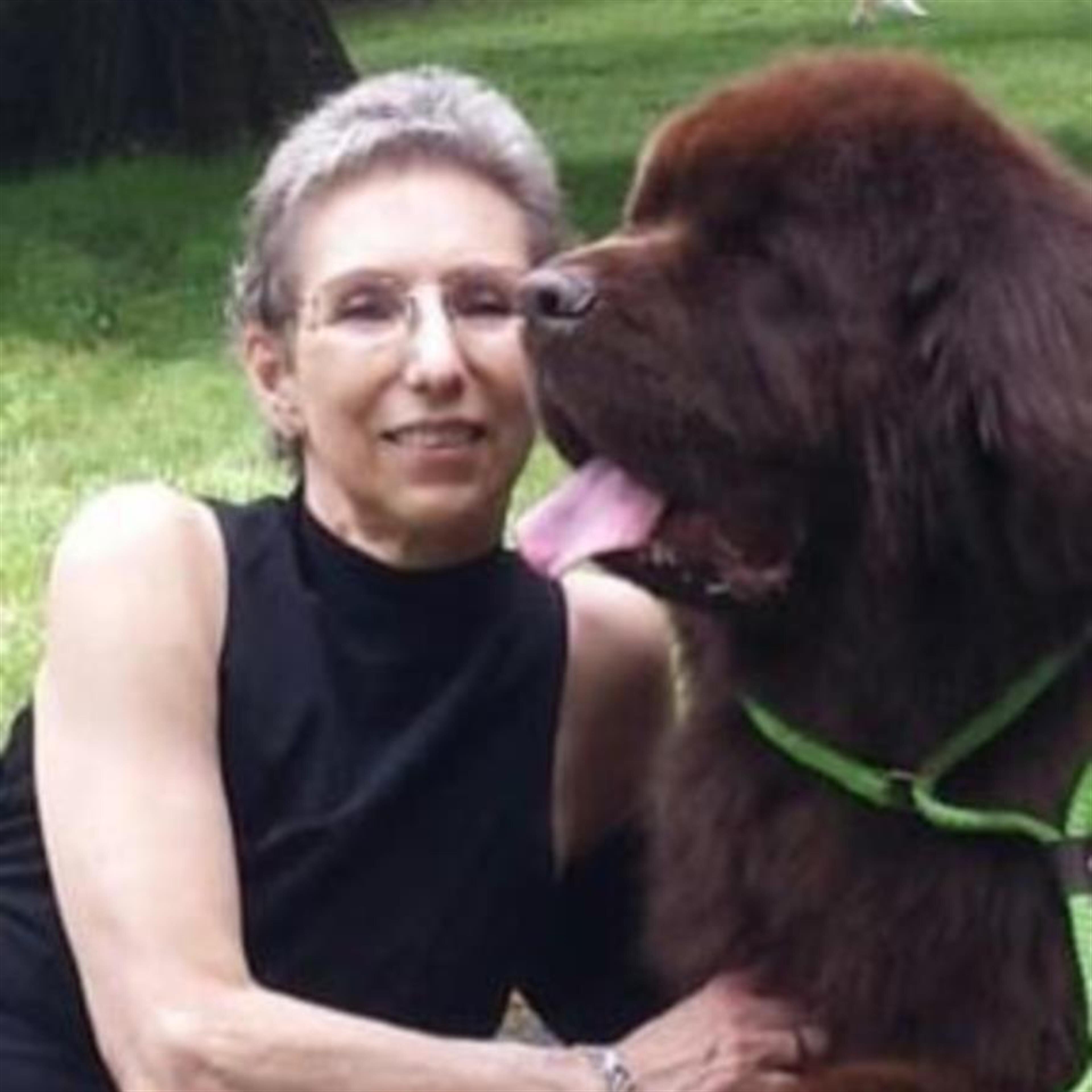 Lana P Tauben