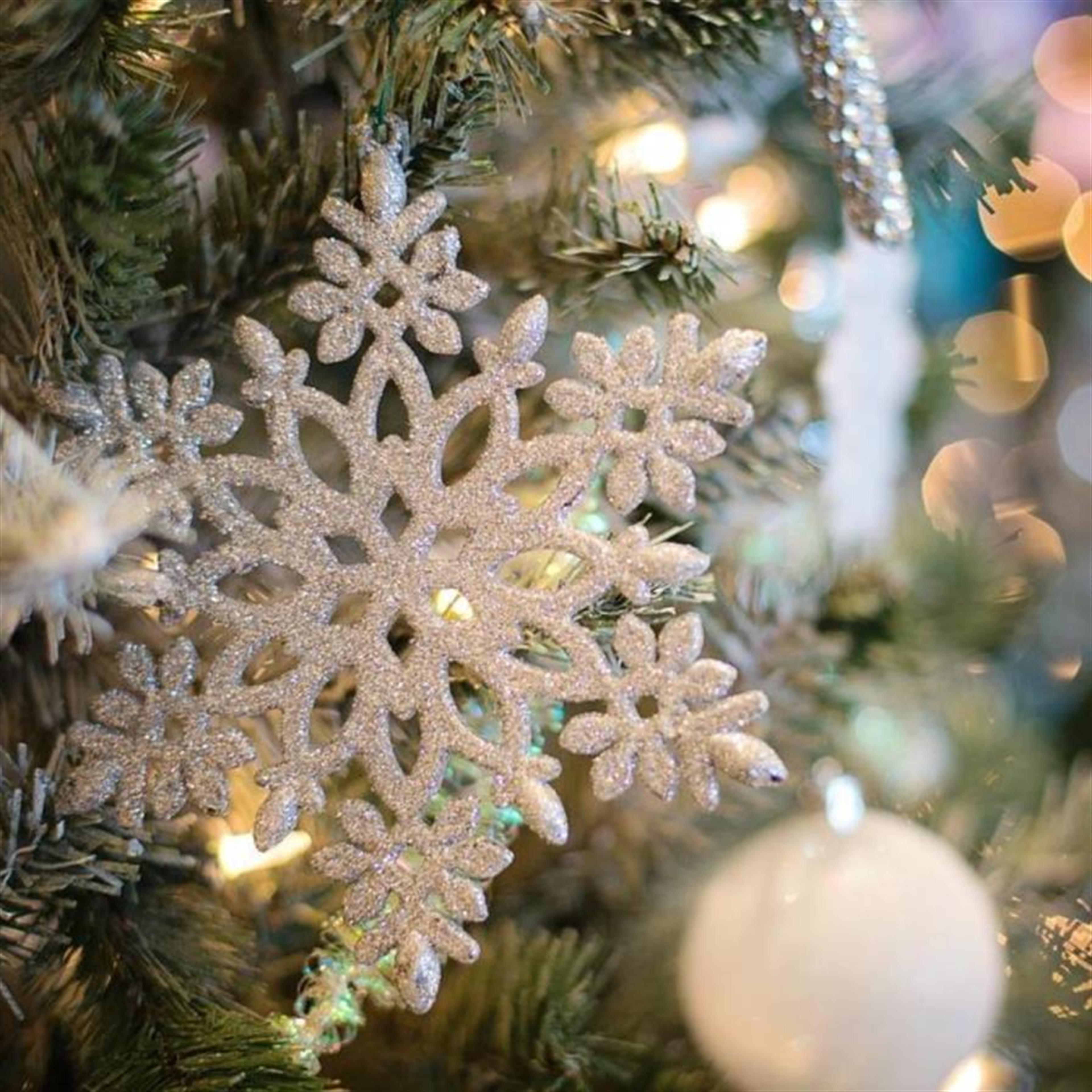 An Evening of Remembrance in Culpeper's obituary picture