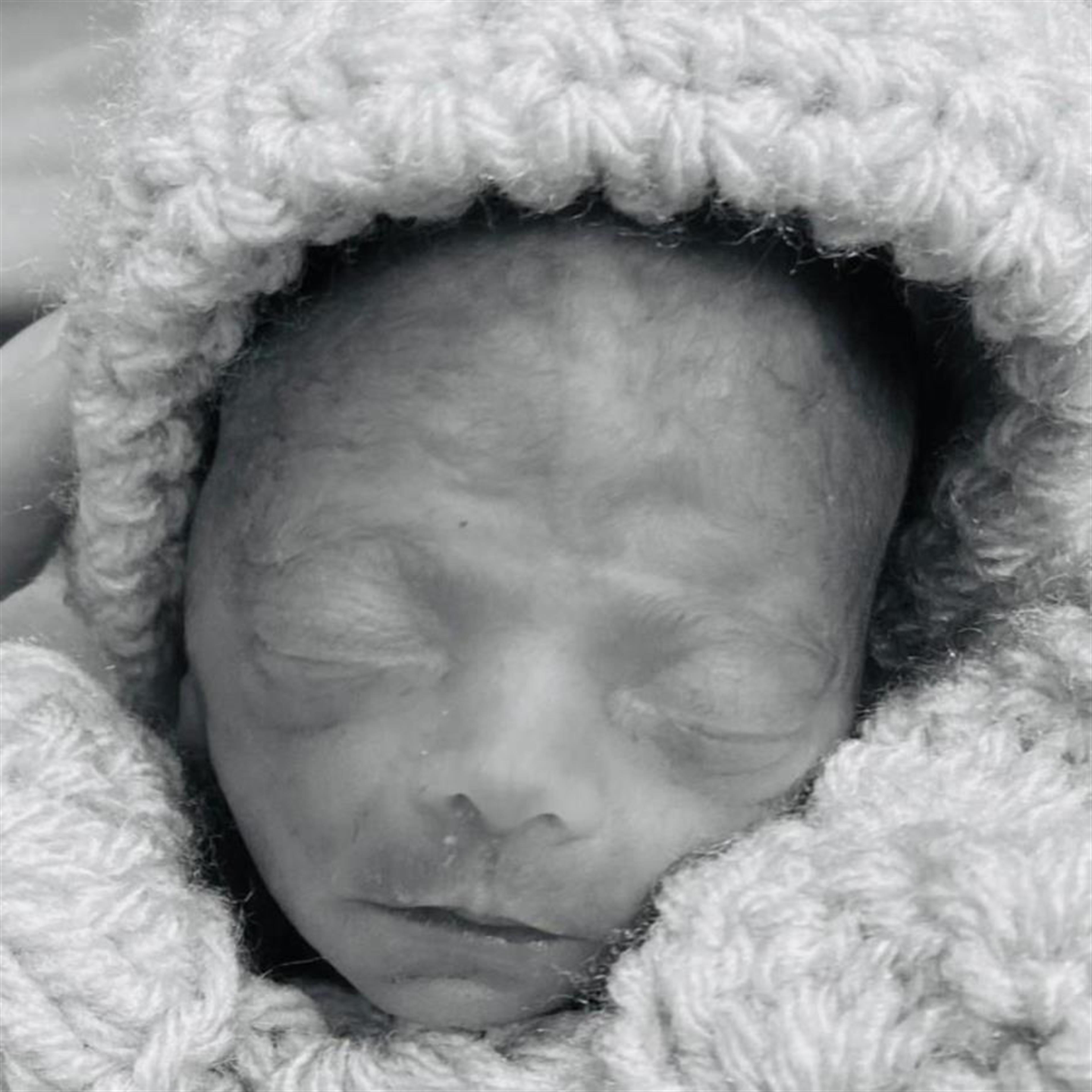 Perpetua Wuertz Brown