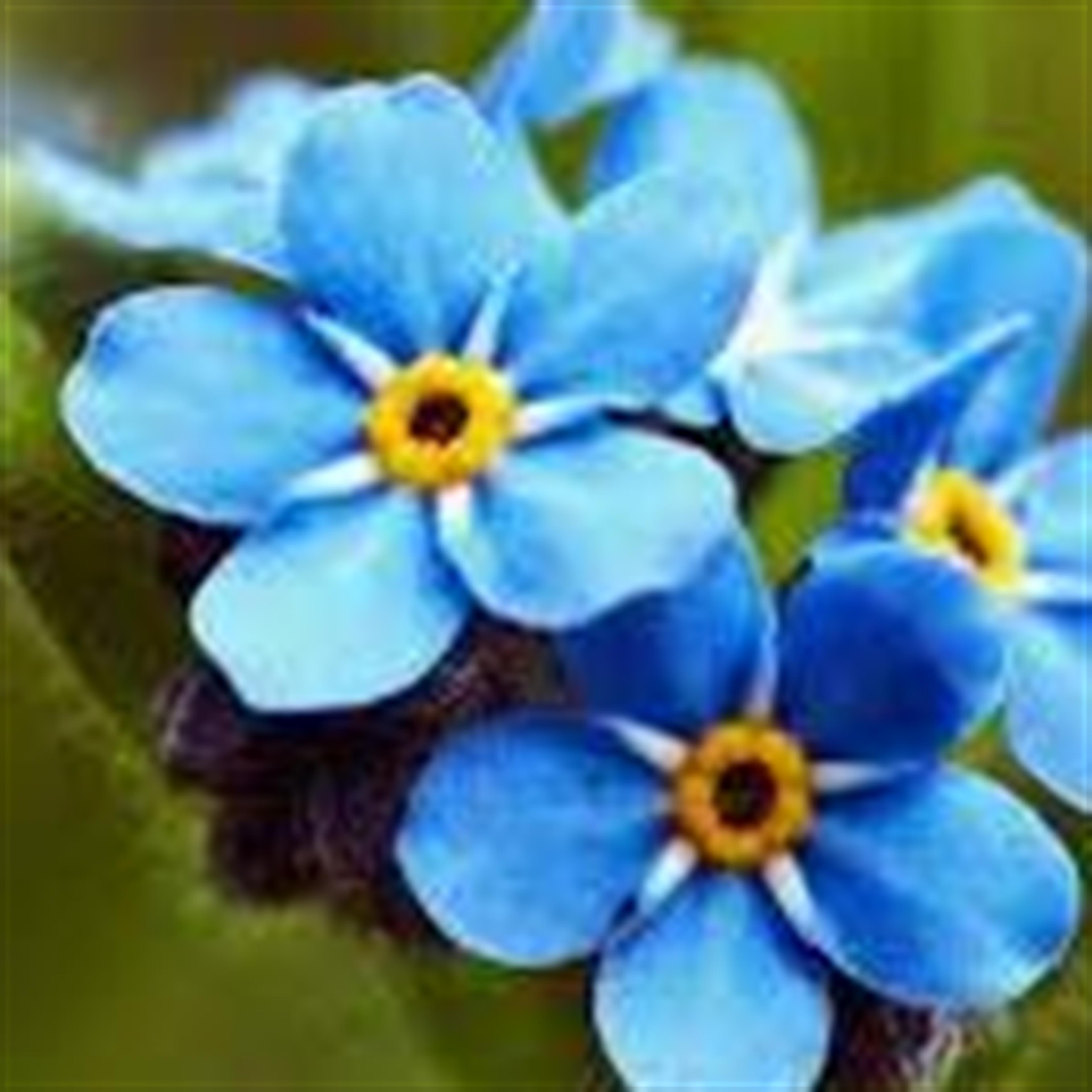 Eartha Thomas Walker