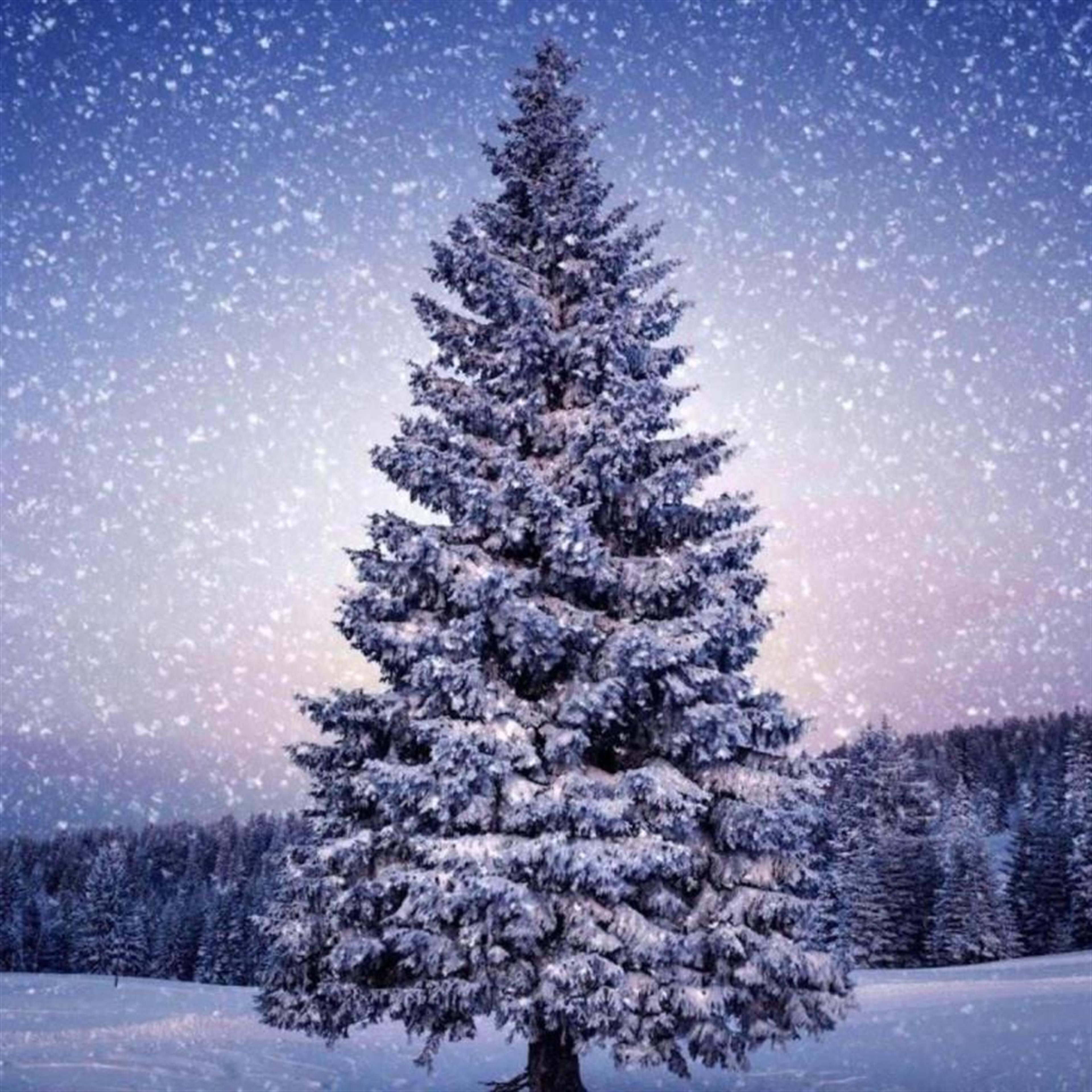 2022 Christmas Candlelight Service