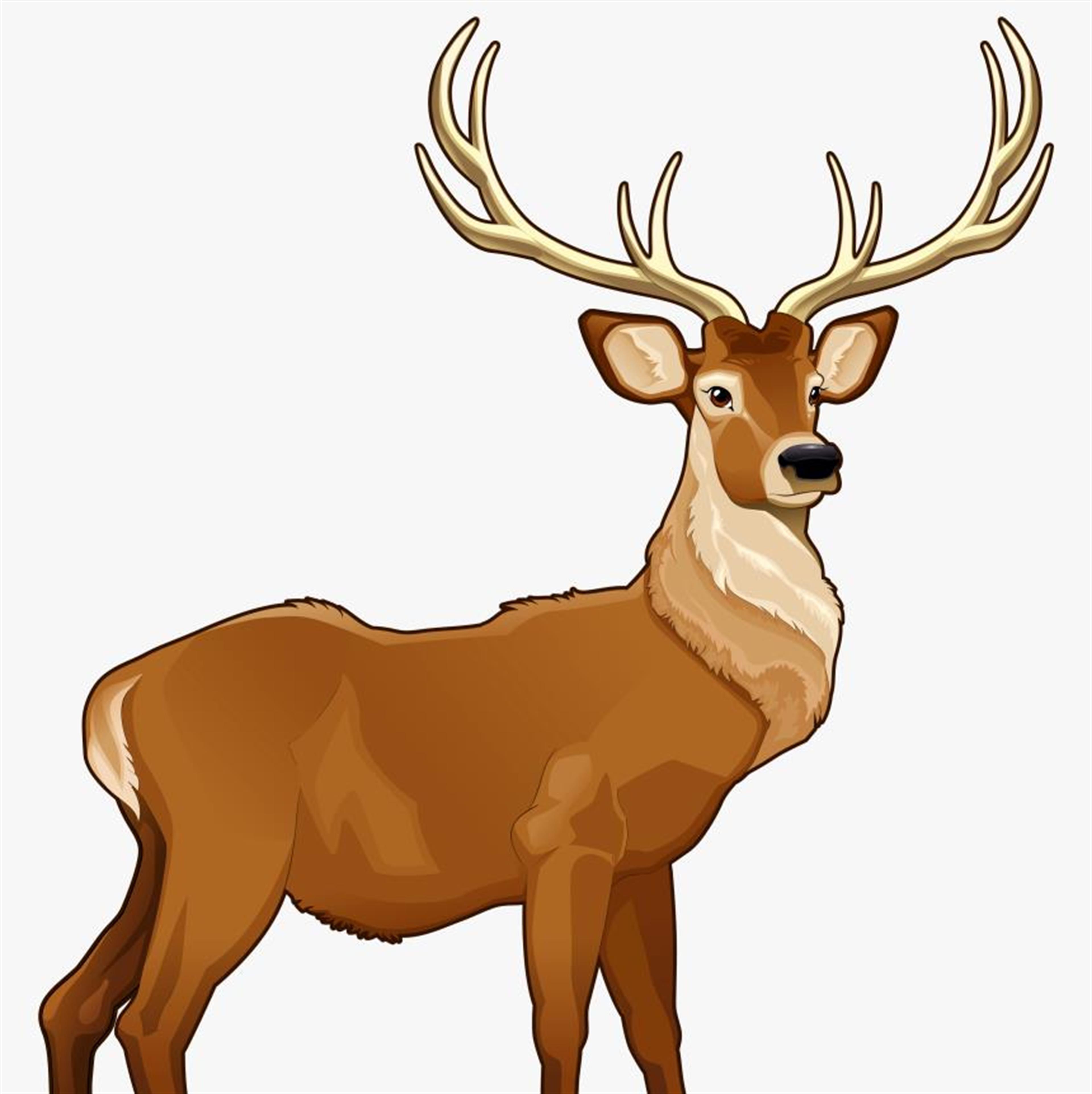 Mr. Eddie Joe Easterwood