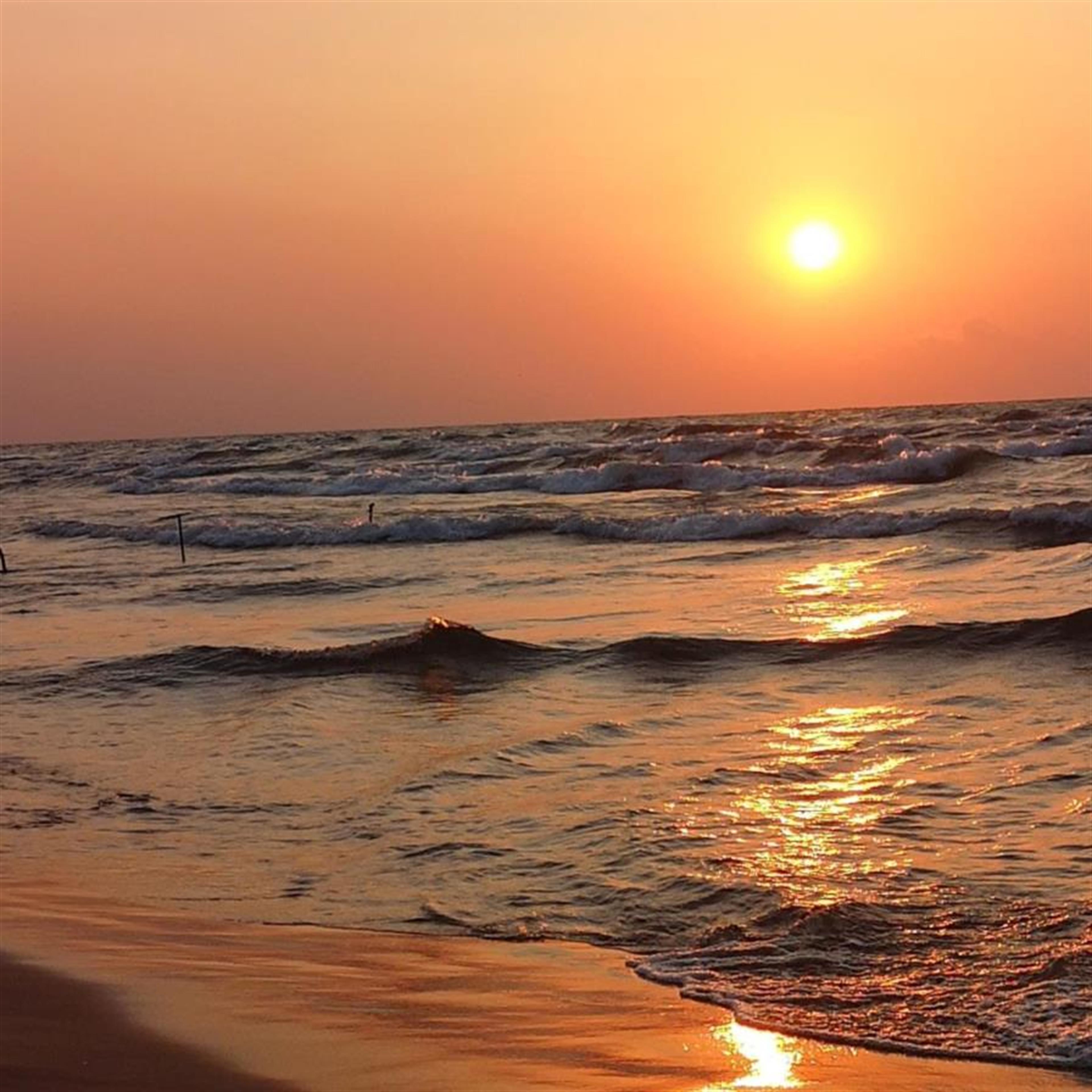 Frances Joan Campbell