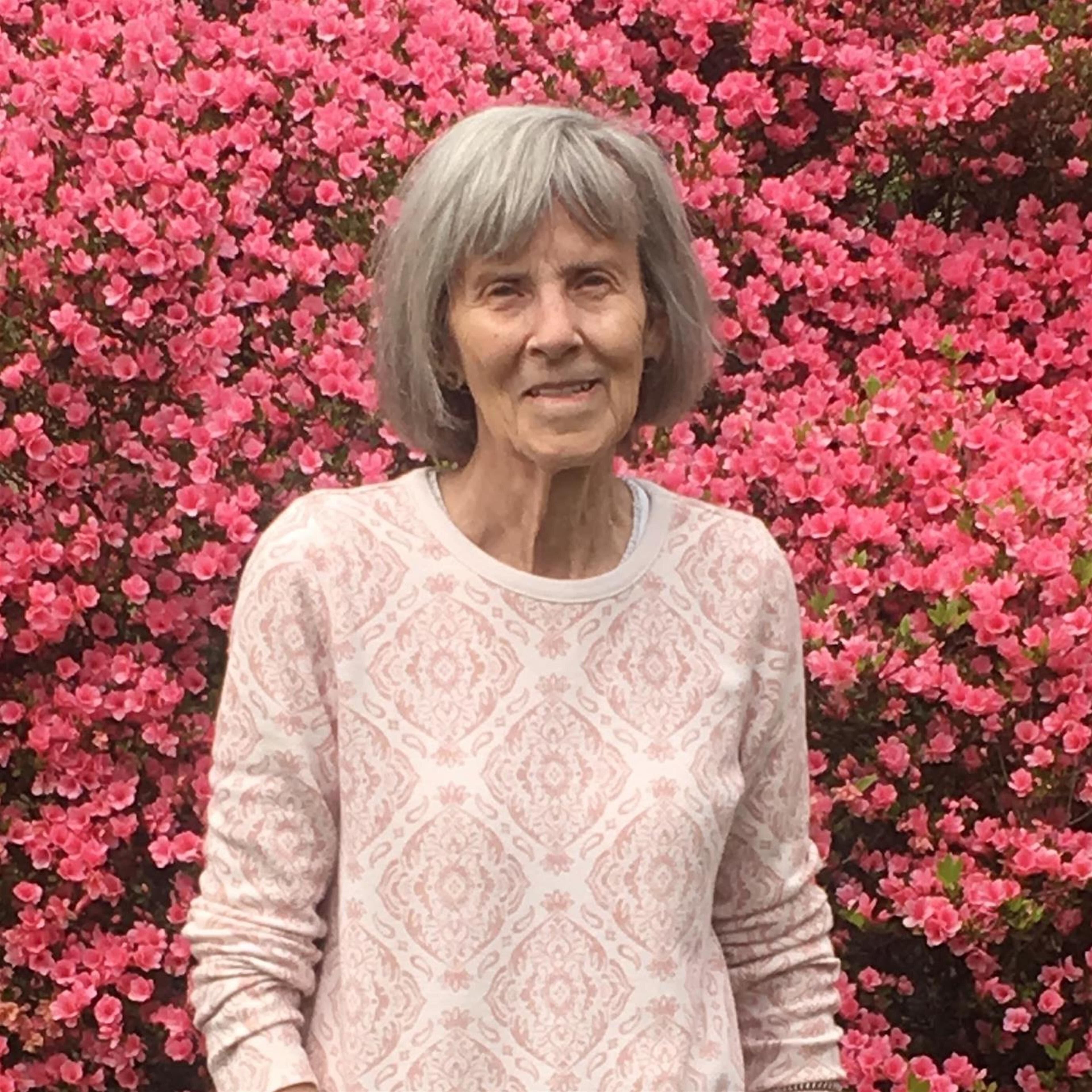 Mary Virginia Hicks Parker