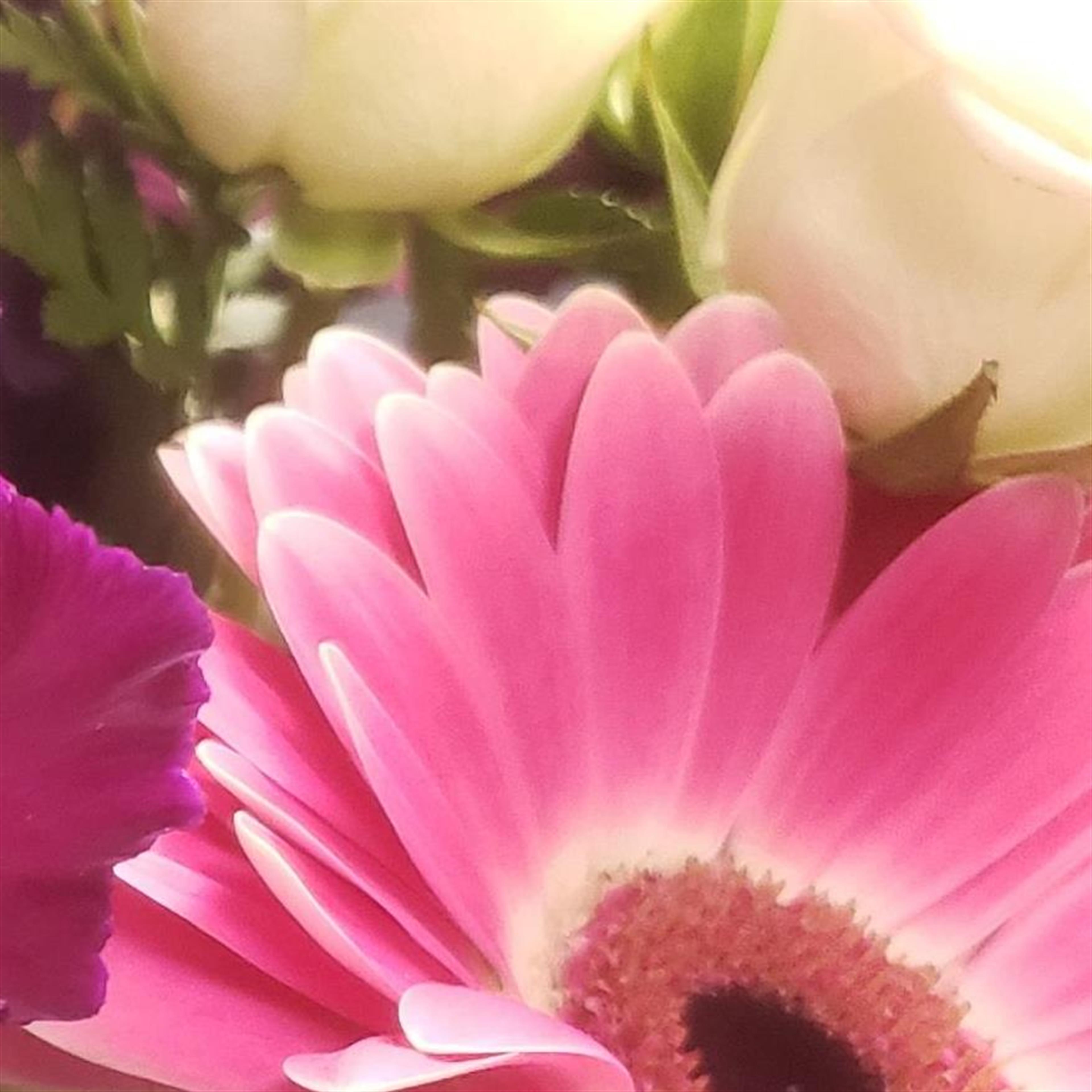 Rose Marie Cochrane's obituary picture