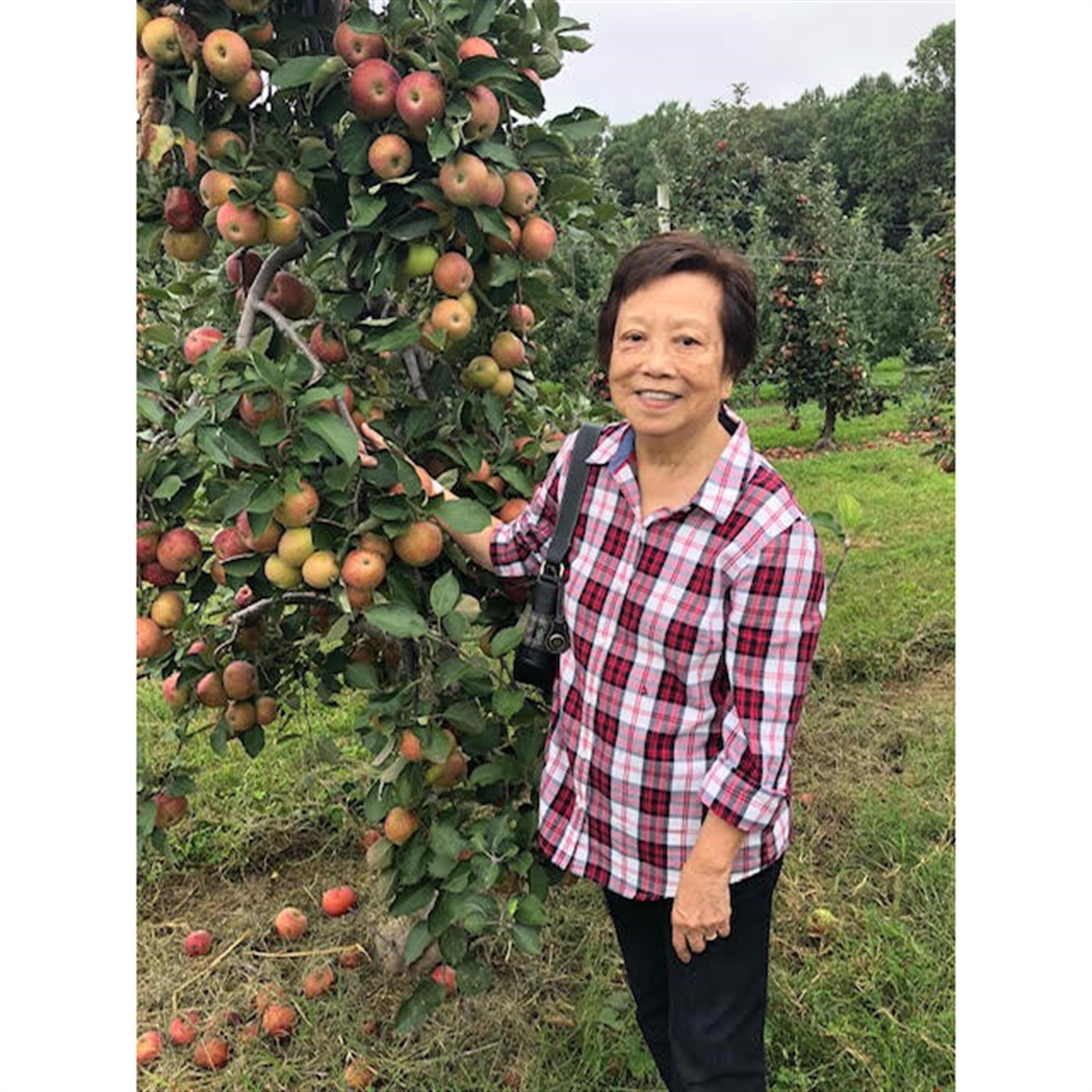 Maria Cristina Mariacoll Tayag, DDS