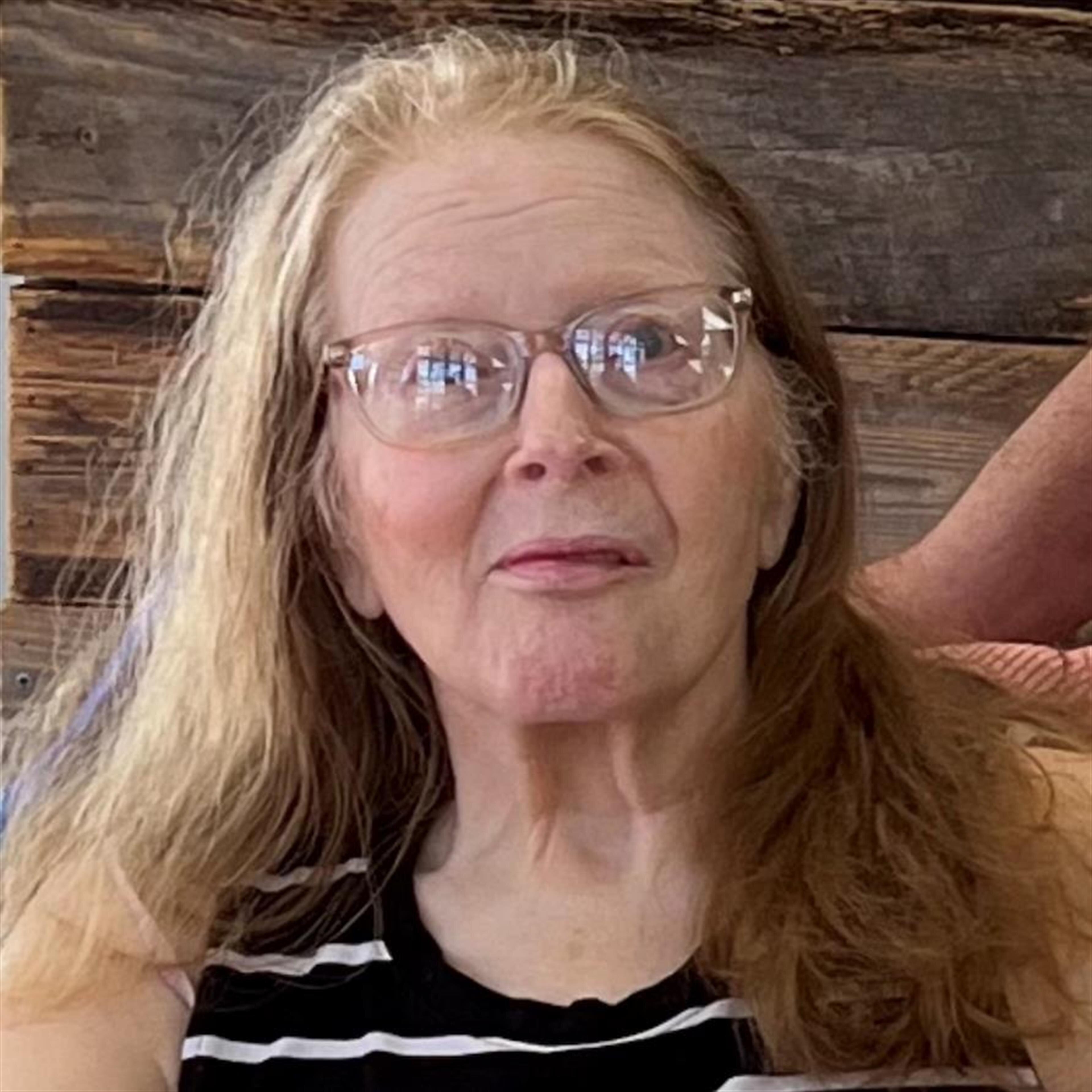 Carolyn Ann Perkins