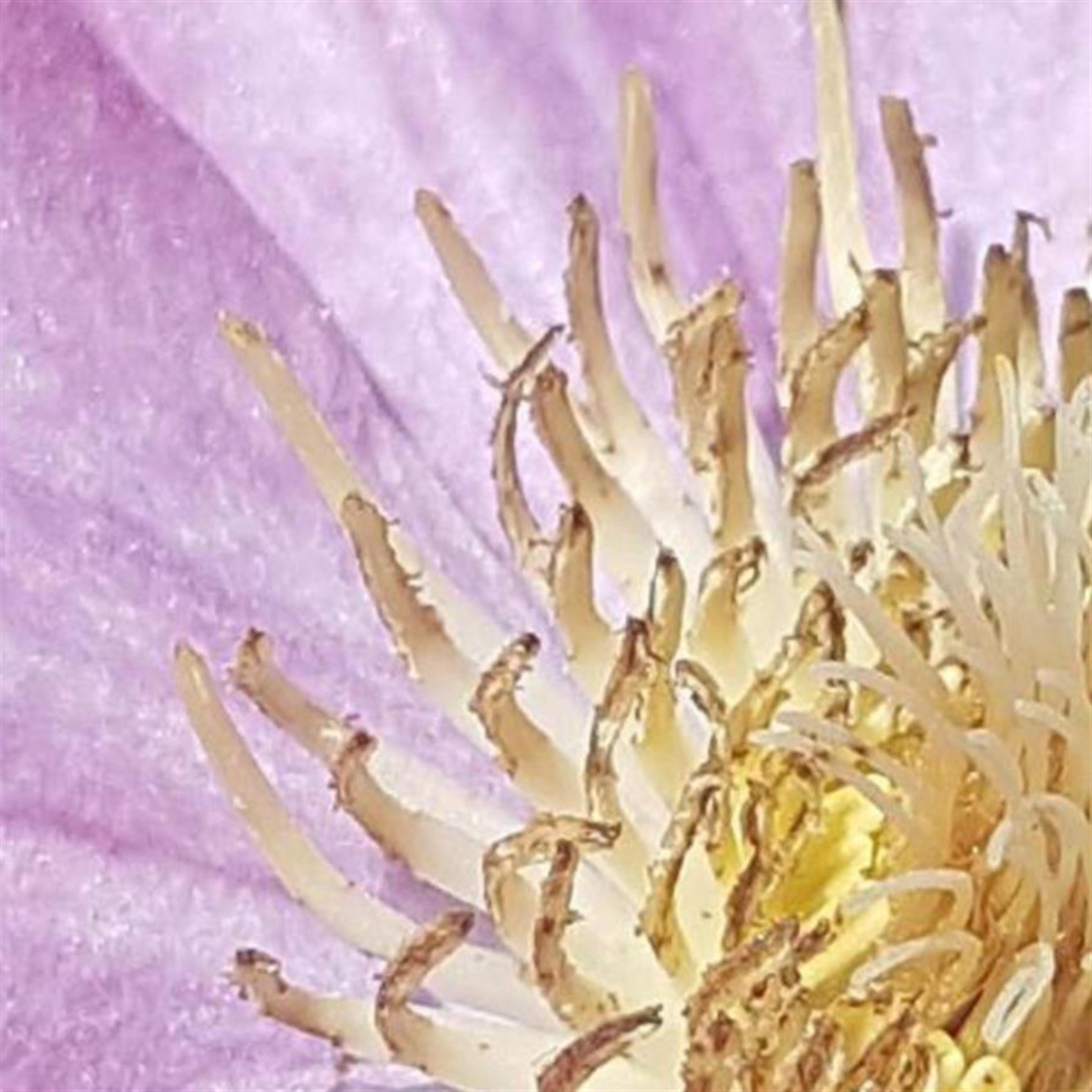 Mable I. Hammons' obituary picture