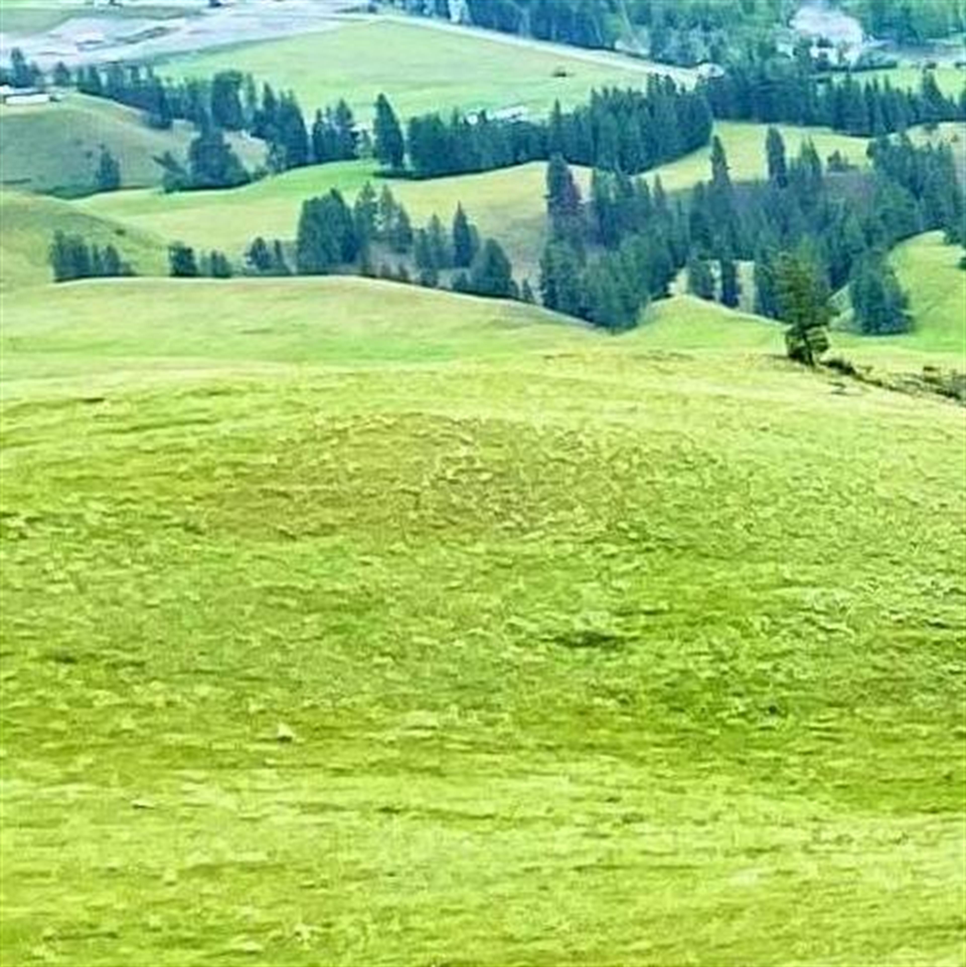 James Bacon's obituary picture