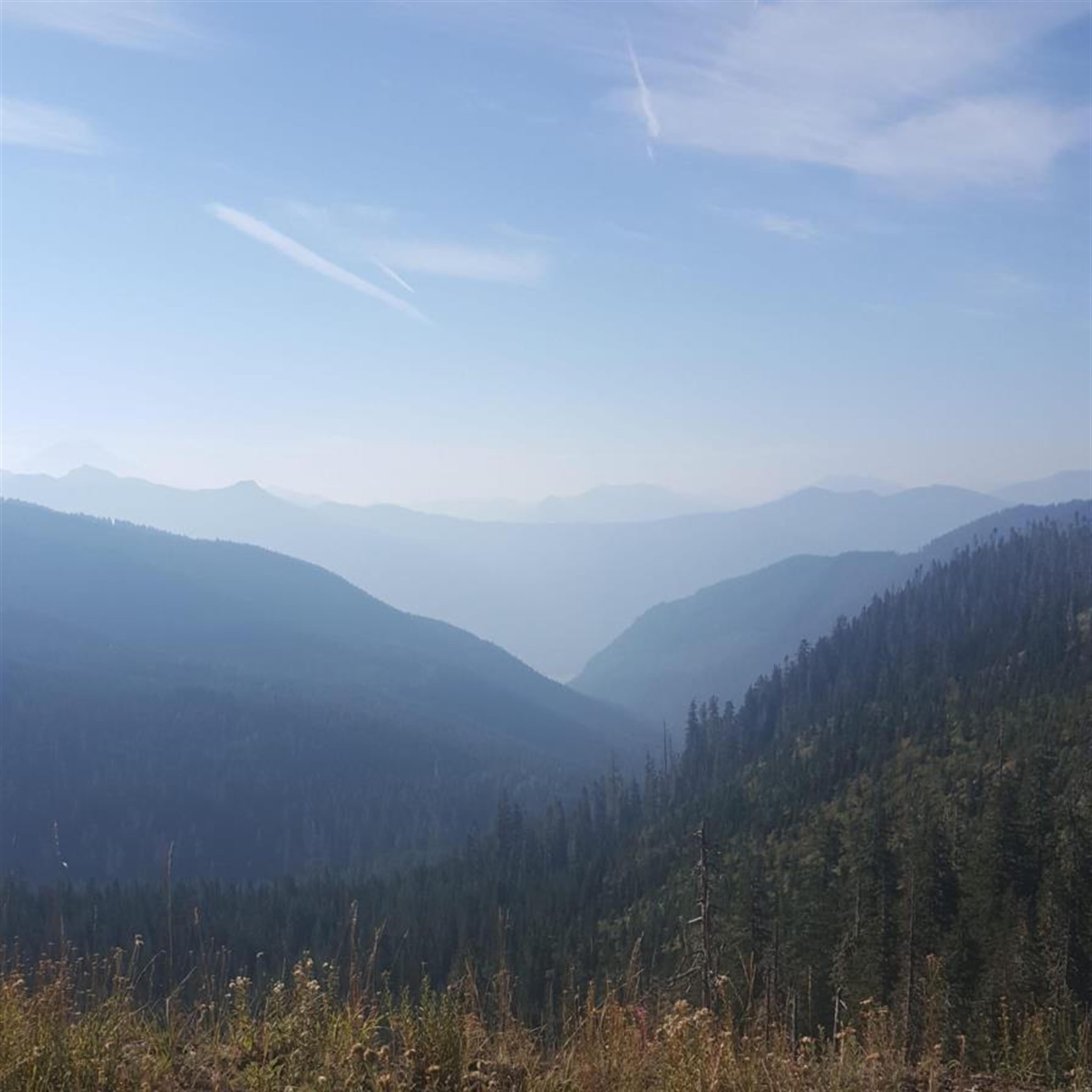 Donald L. Orris' obituary picture