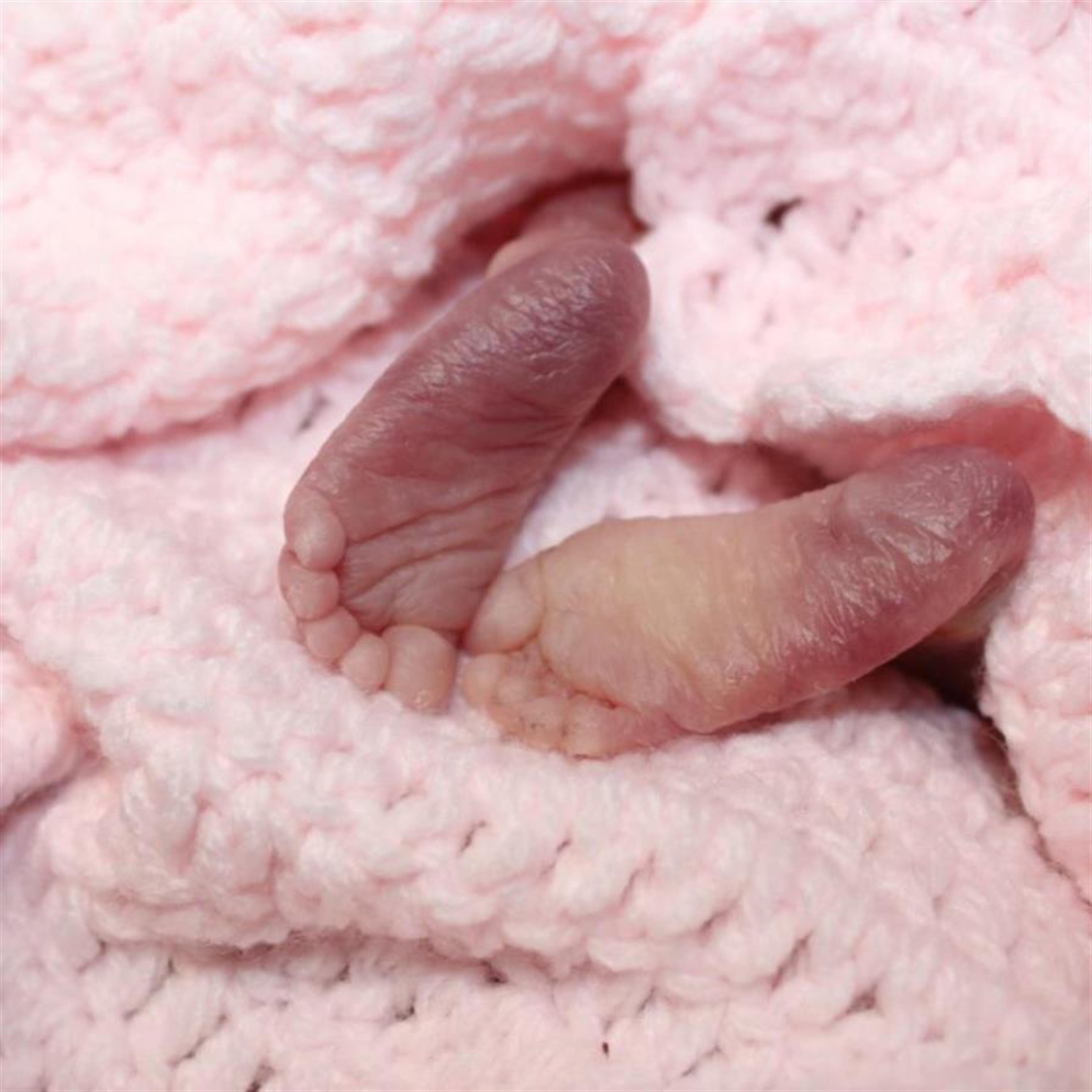 Caroline Maeve Lynch