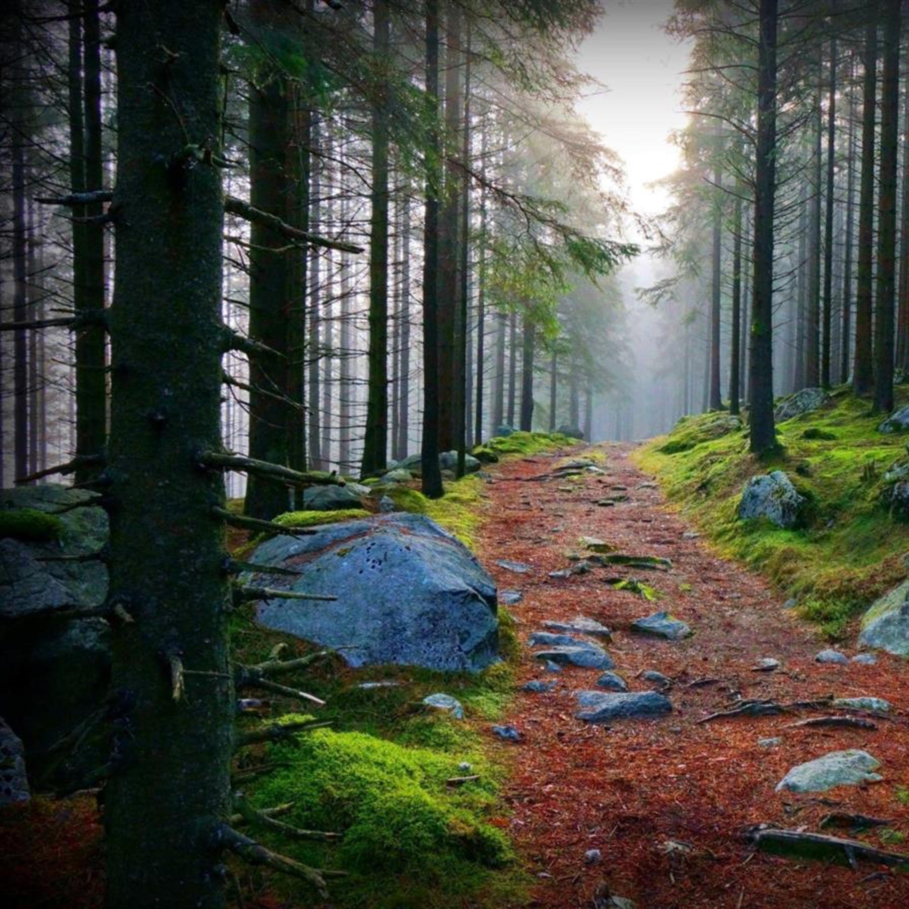 Randolph Patrick Benjamin Roberts