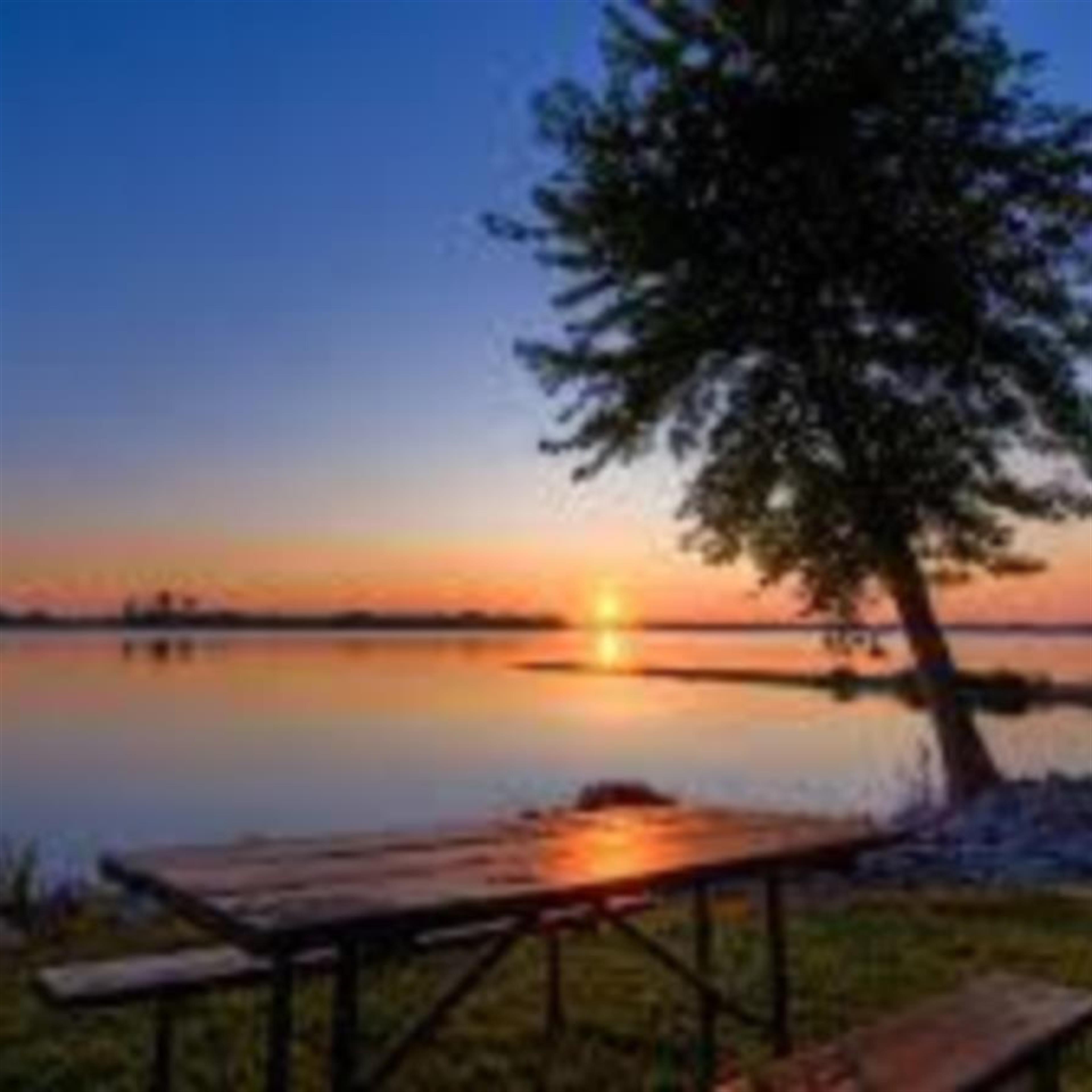 Darren Melbourne (Buffalo)