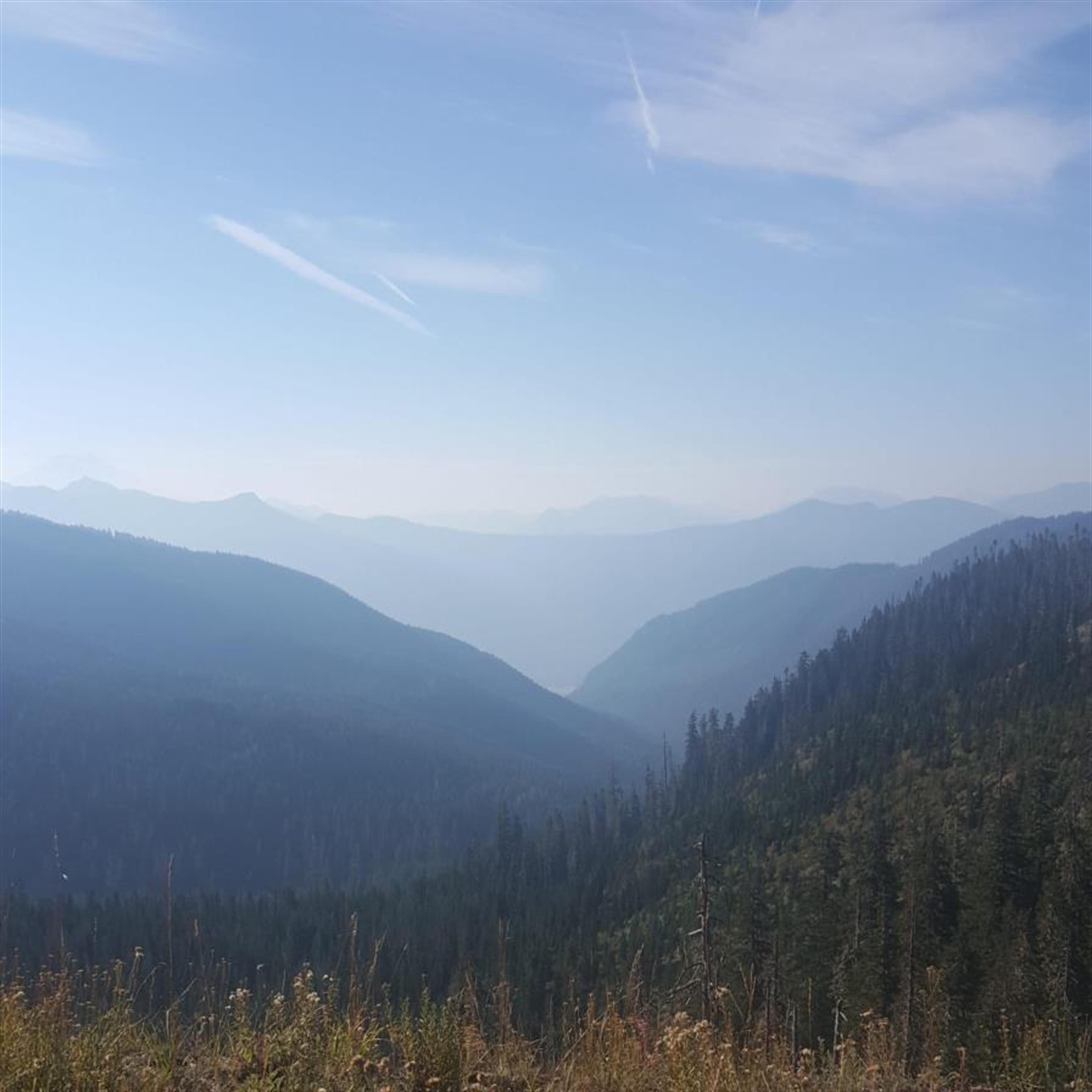 Paul Bunting's obituary picture