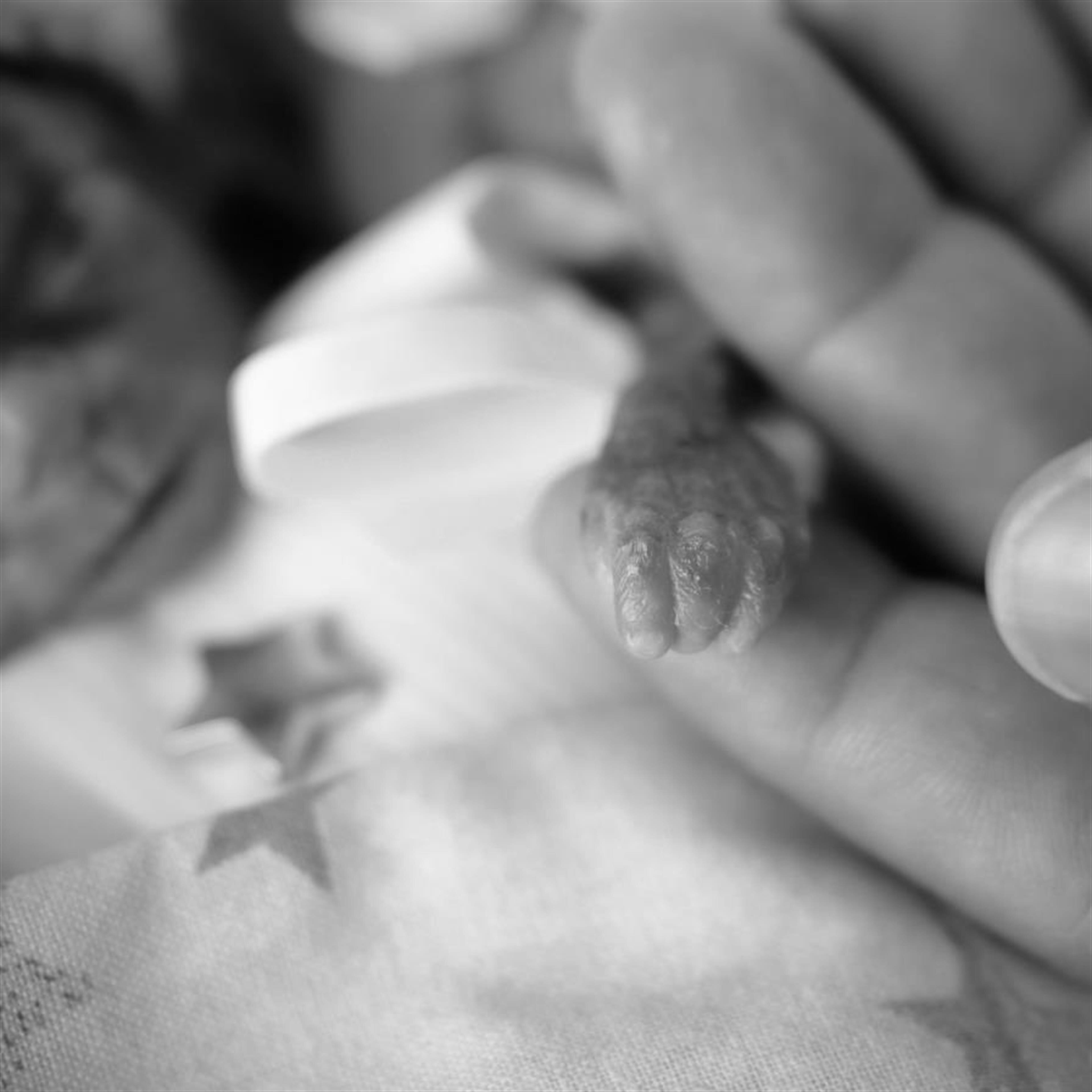 Baby Orson Udell Pineda Knies