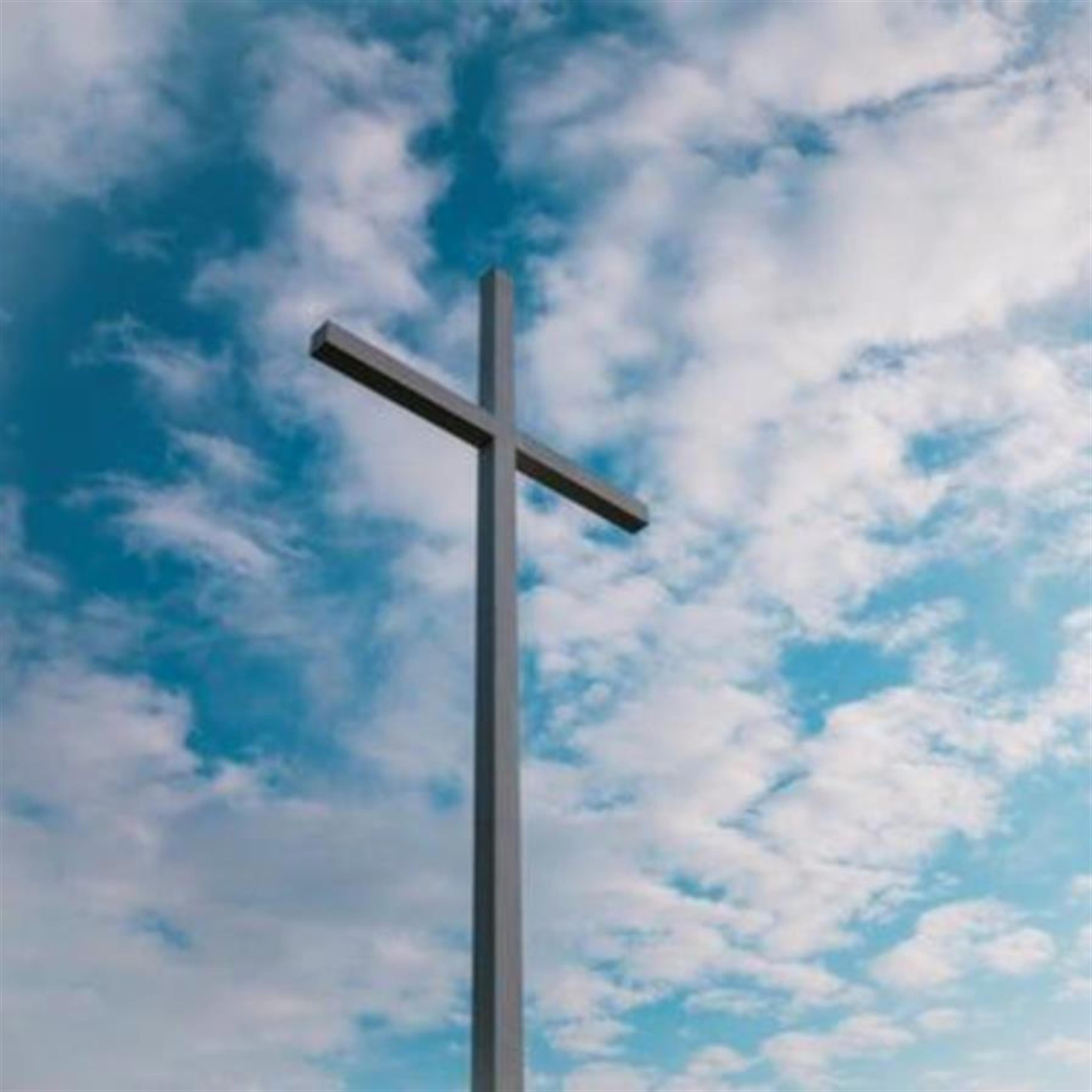 Michelle D. Glenning