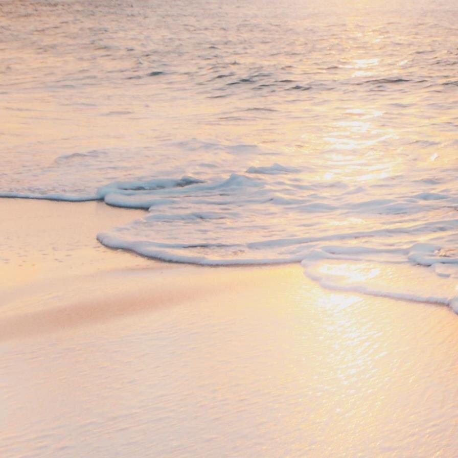 Tribute Wall
