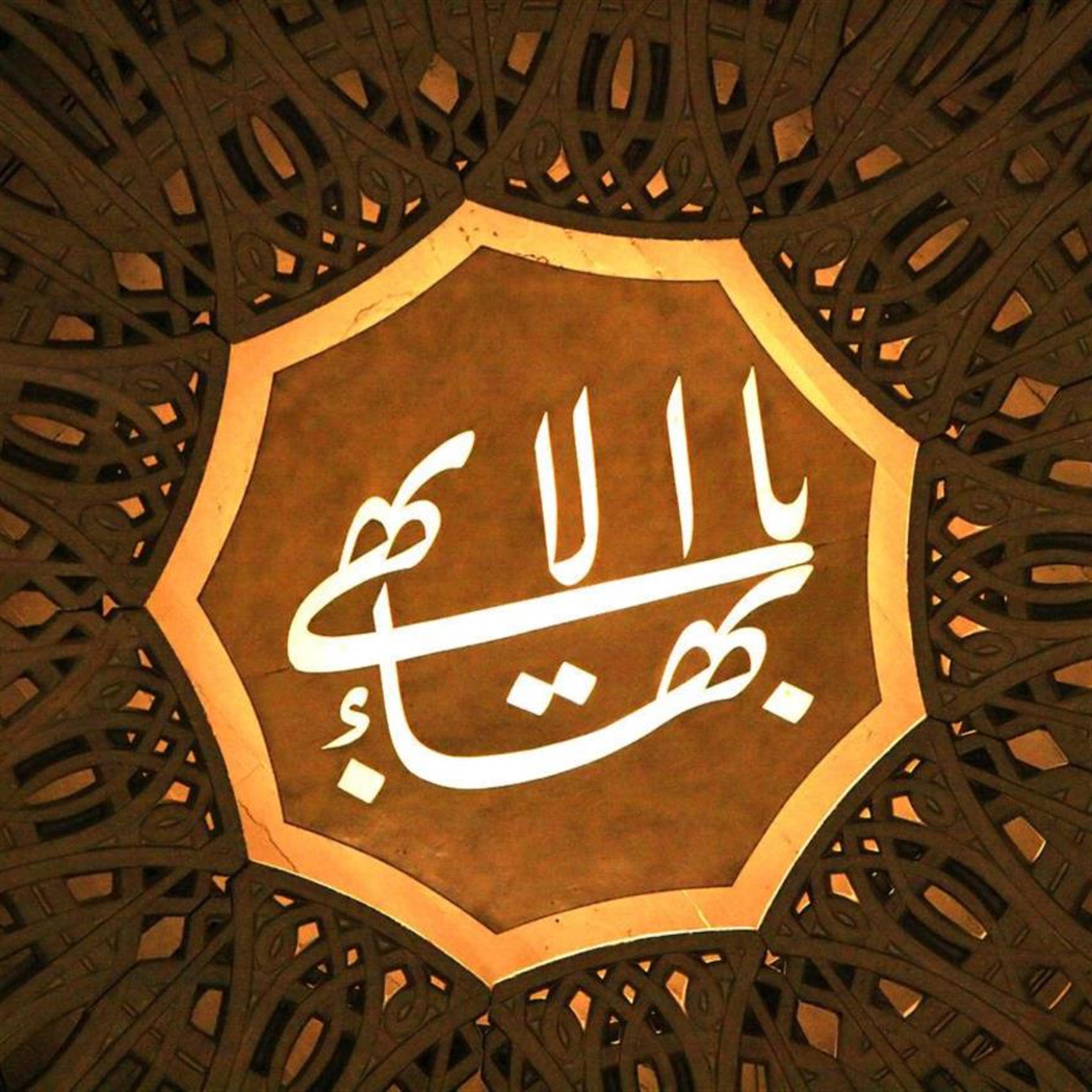 Rohanieh Hassani Haghighatbin