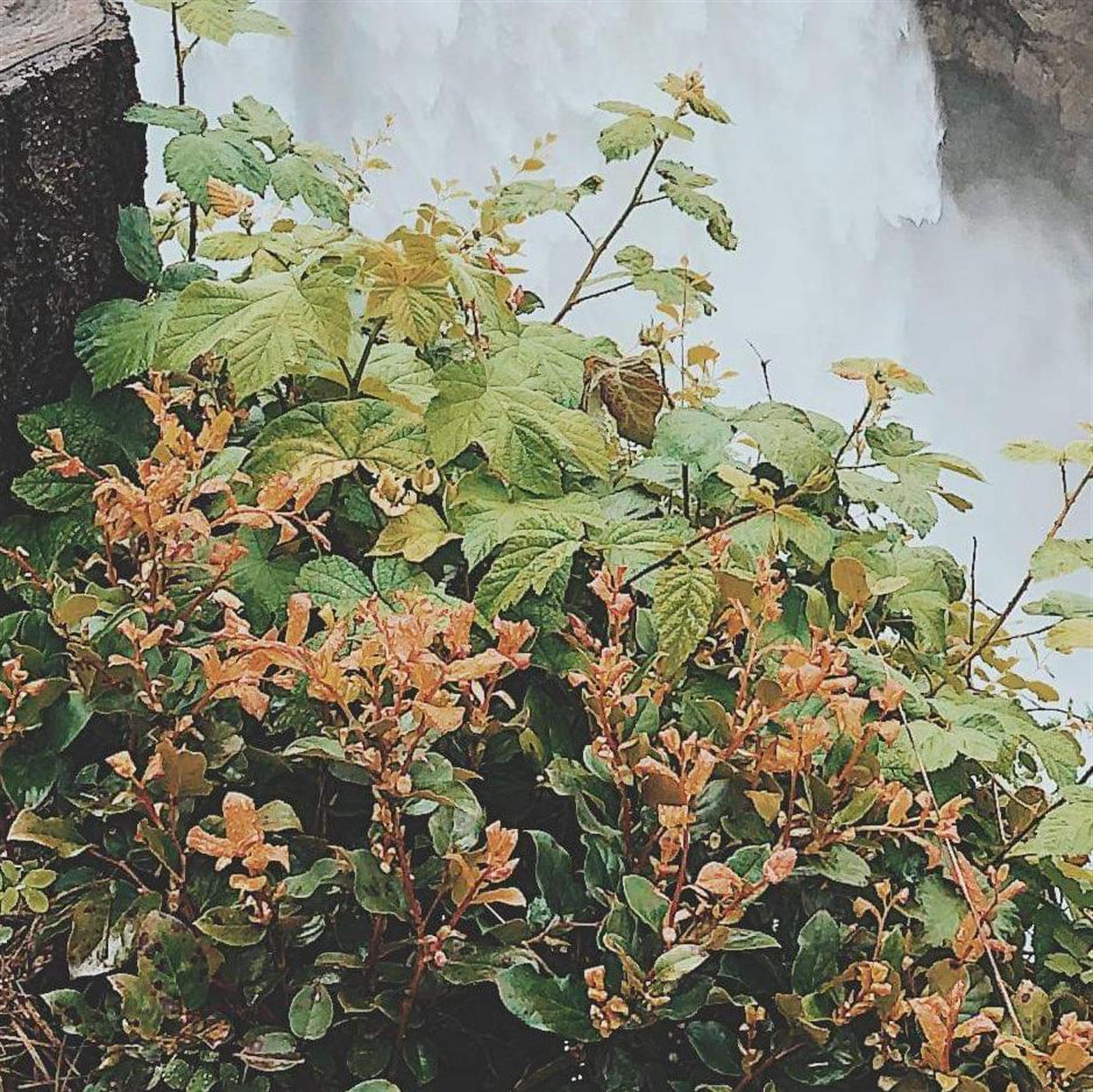 David Myers' obituary picture