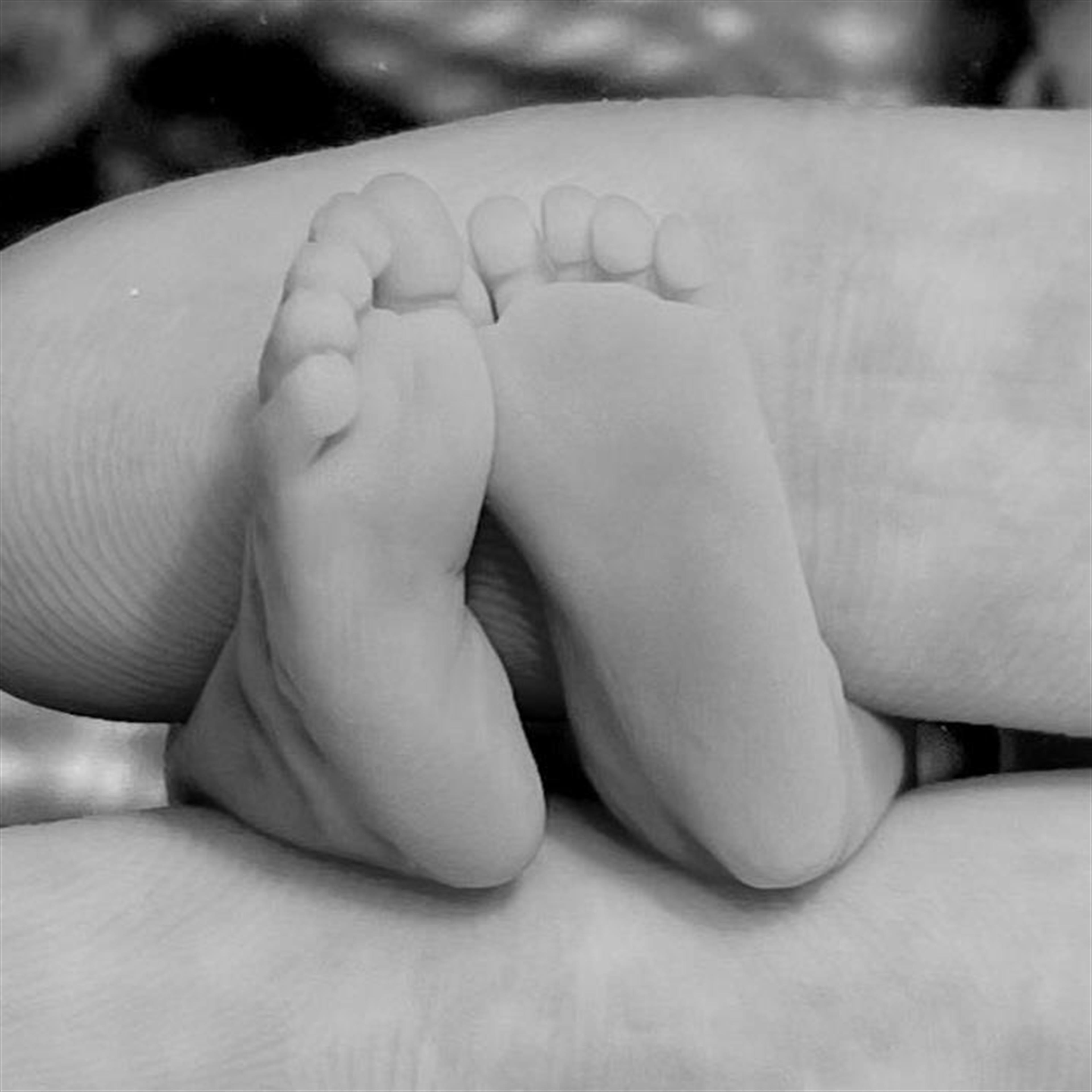 Dominic Asher Stephen Heeran