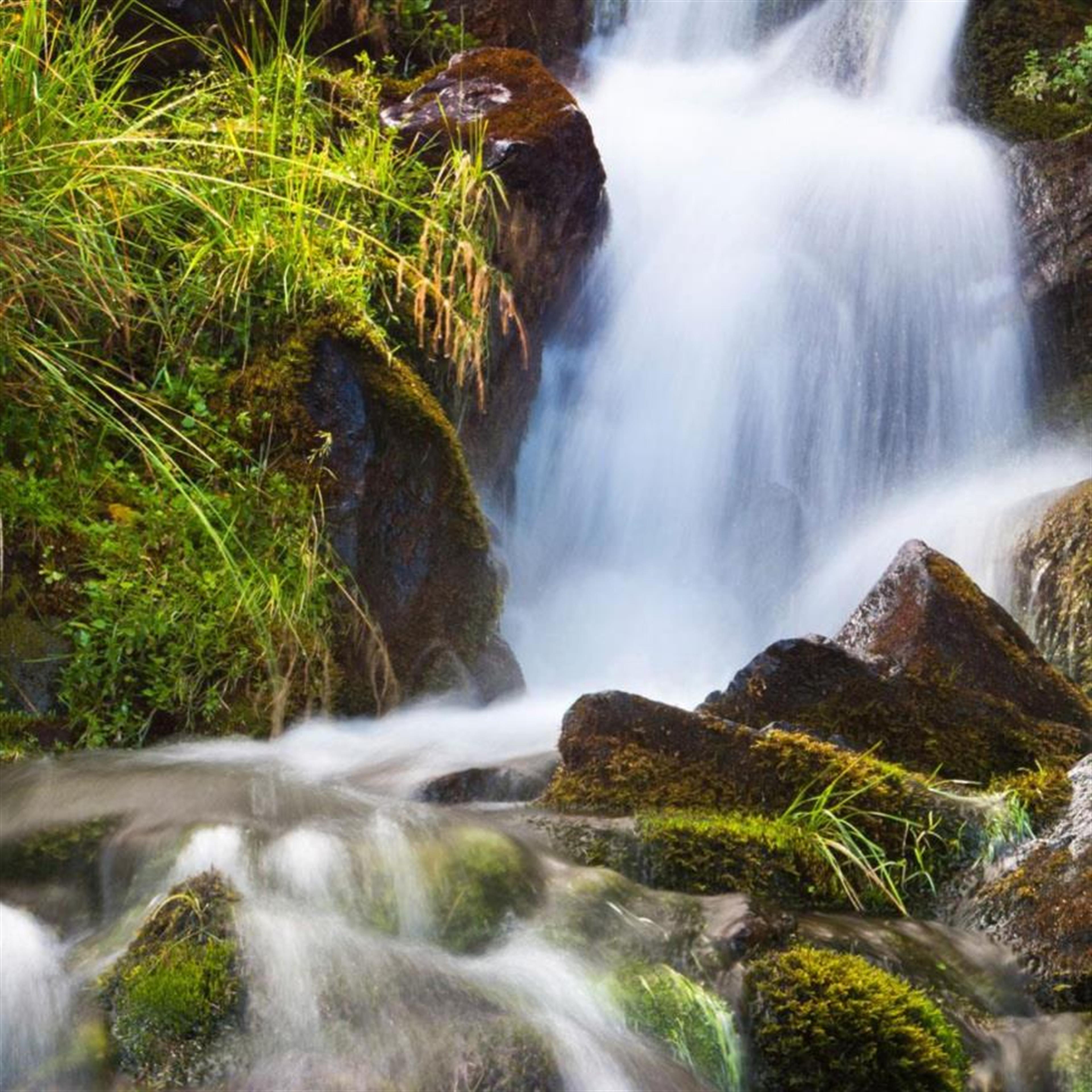 Vera Freda Dixon Conley's obituary picture