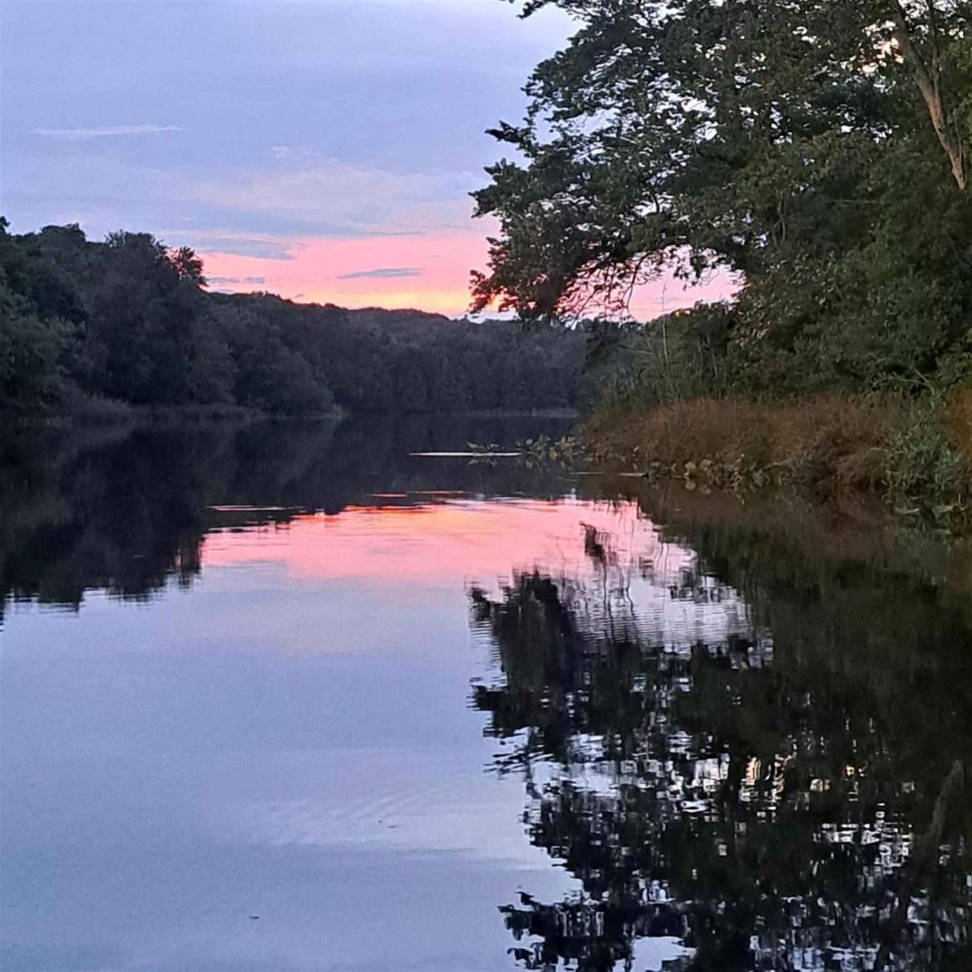 William Lewis Pierce Jr.