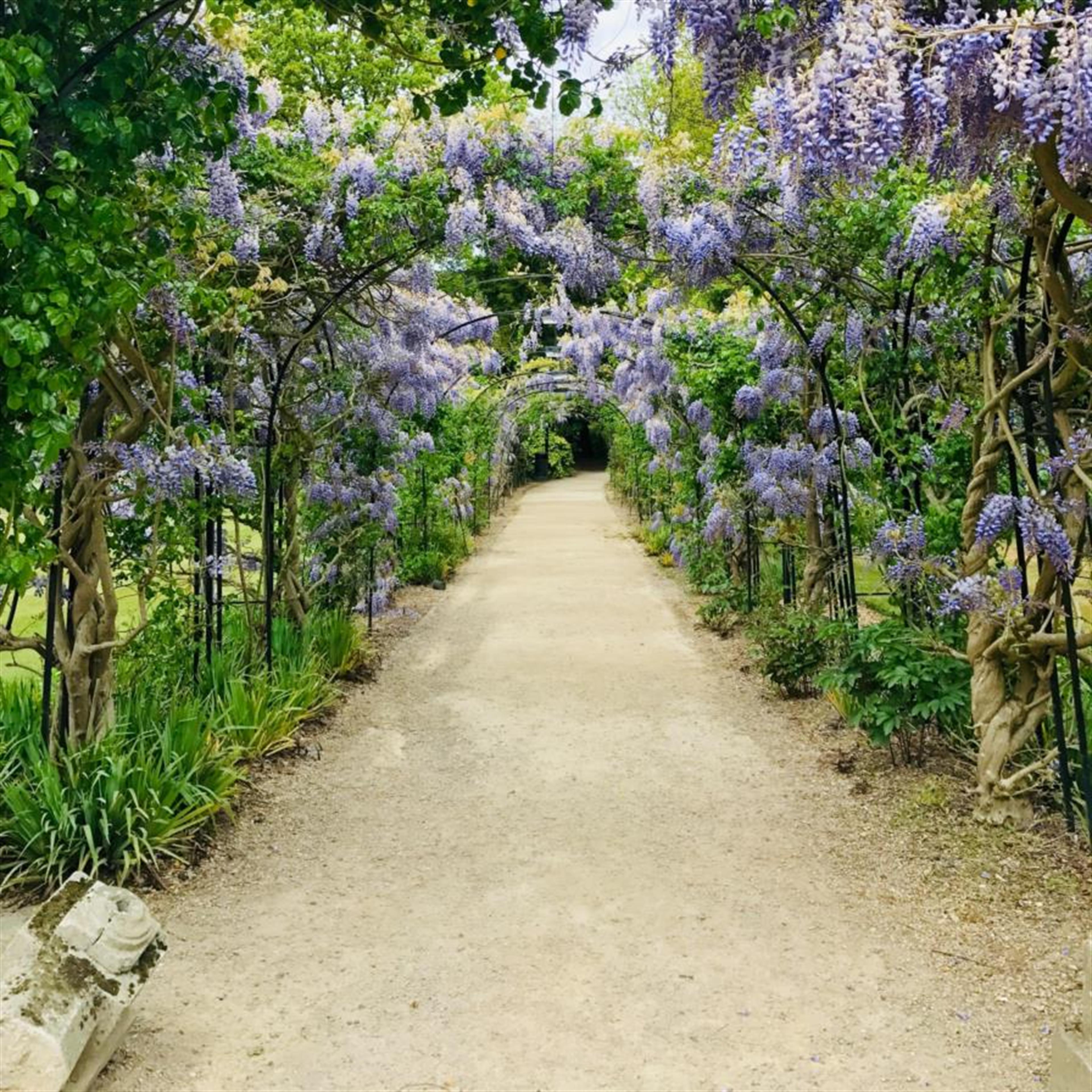 Maxine Ruth Stokinger's obituary picture