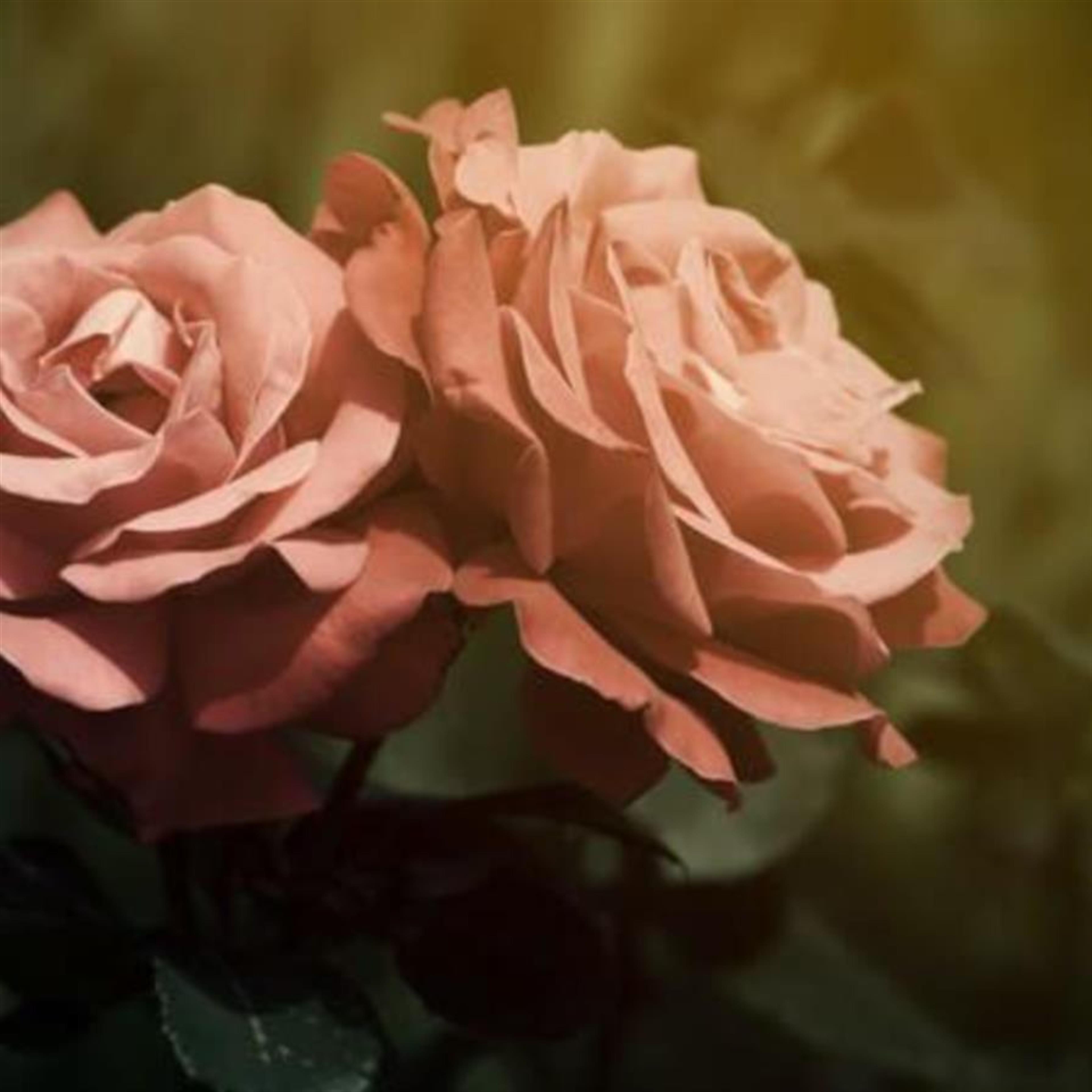 Mrs. Martha Sue Waldrop