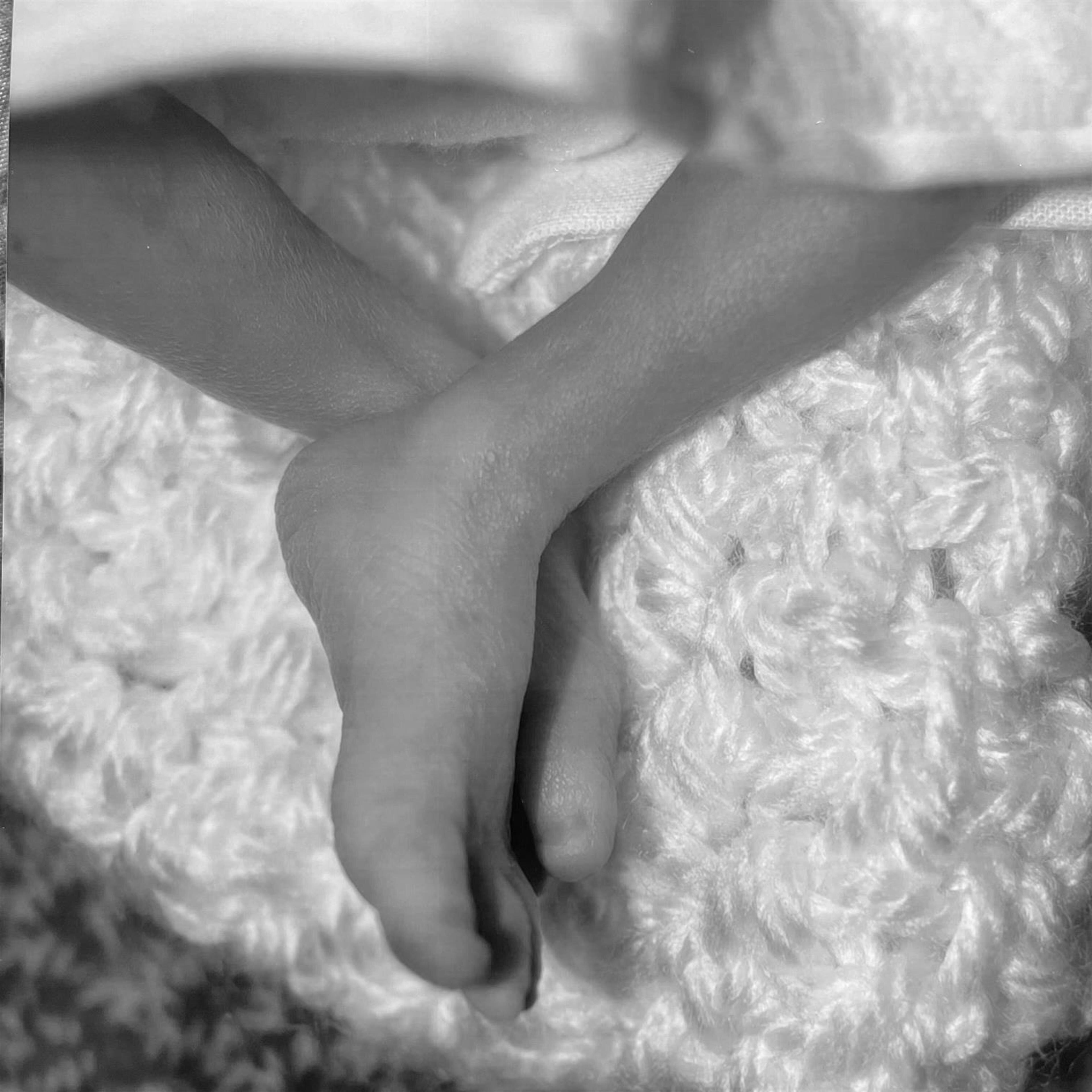 Charlotte Belle Ohle