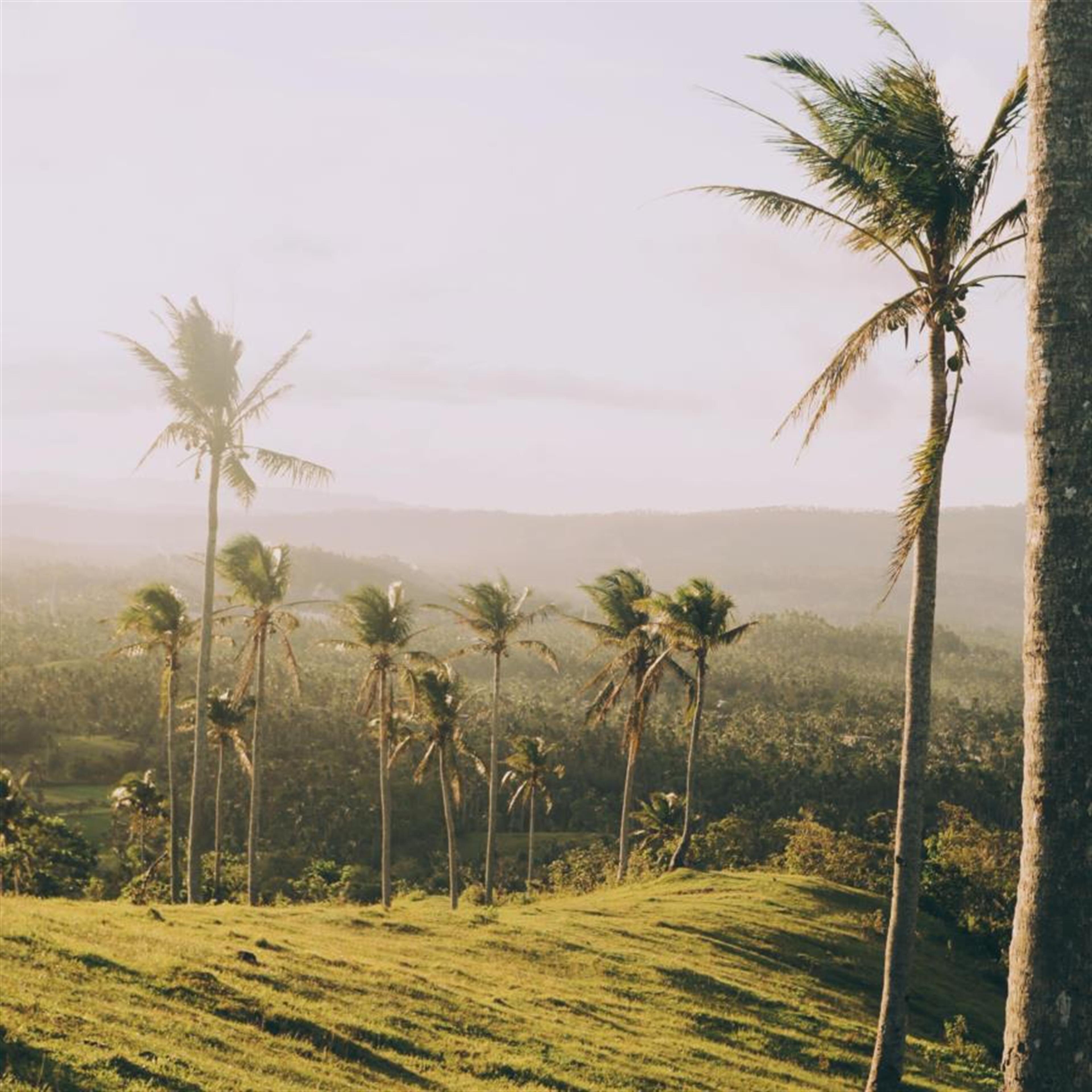Faafetai Pelupelu
