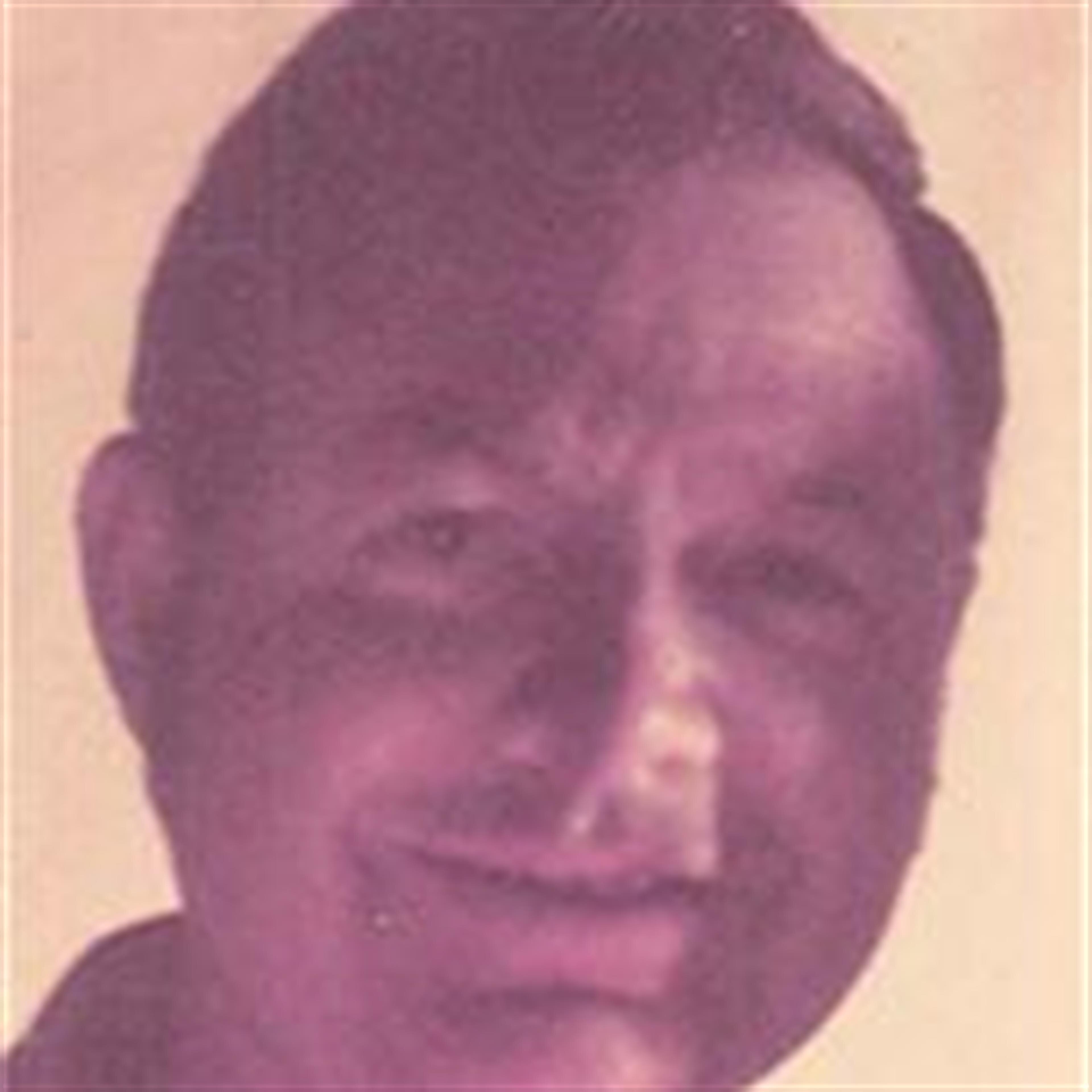 Paul L. Livek
