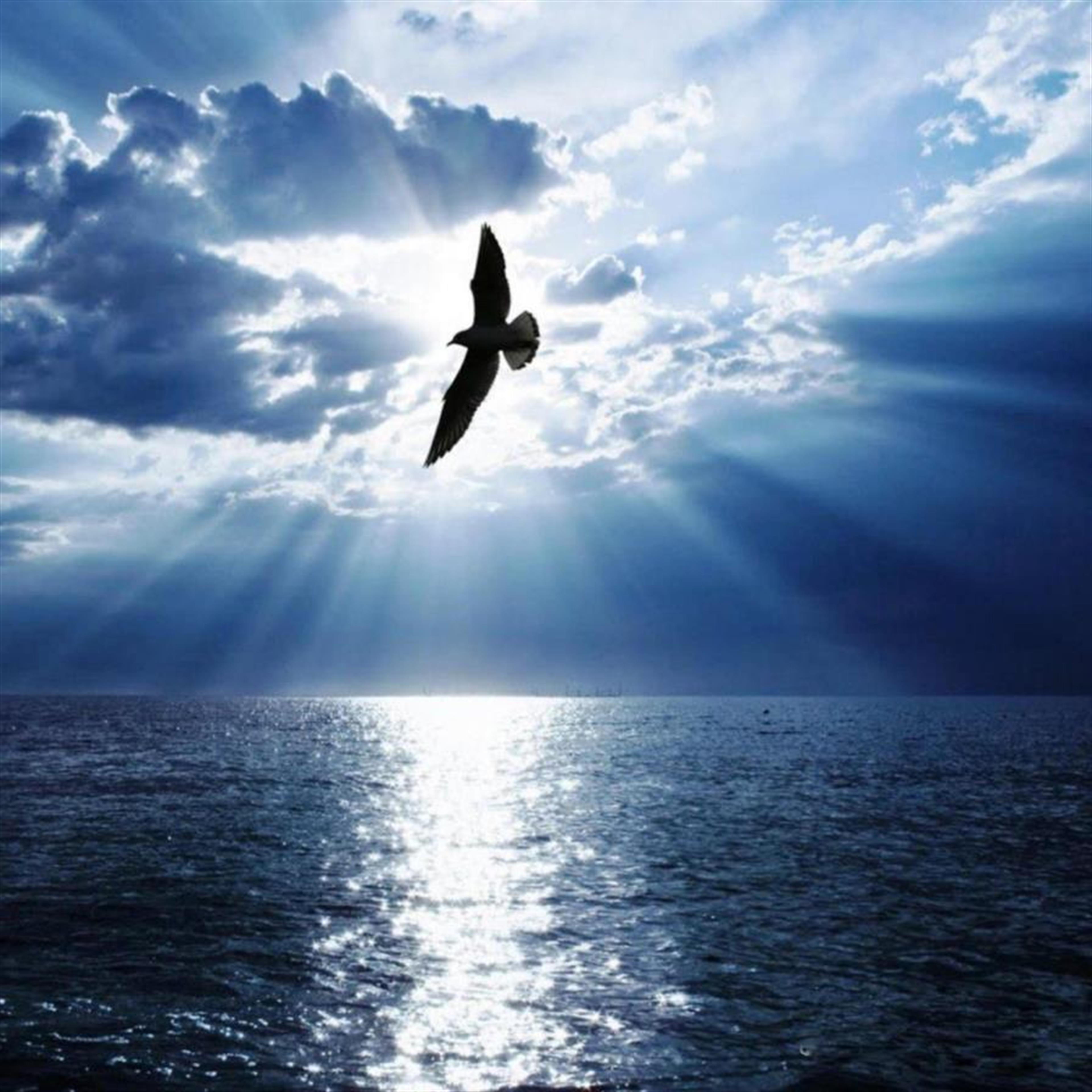 Richard Henry Faulkner Jr.'s obituary picture