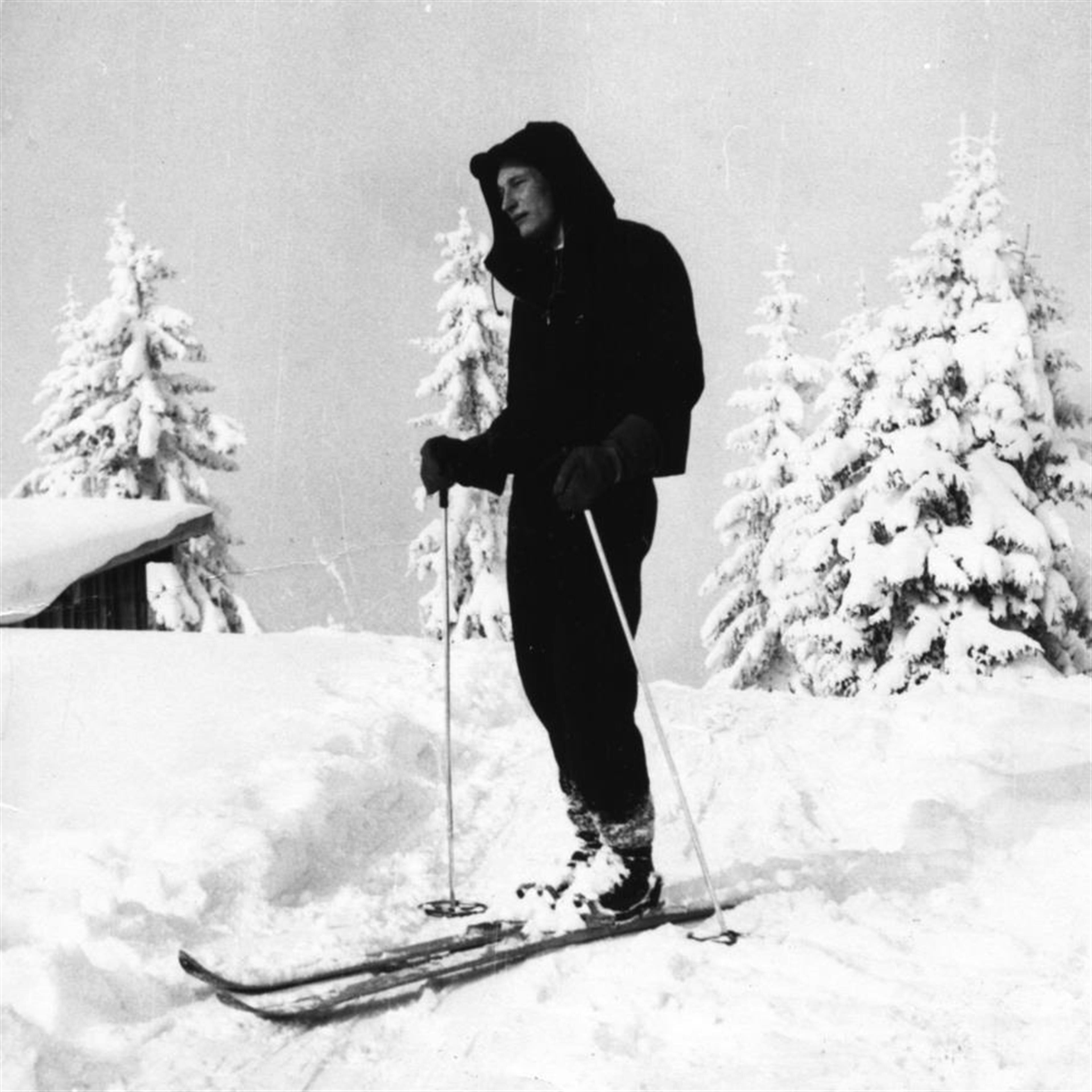Sevald Voss Nielsen