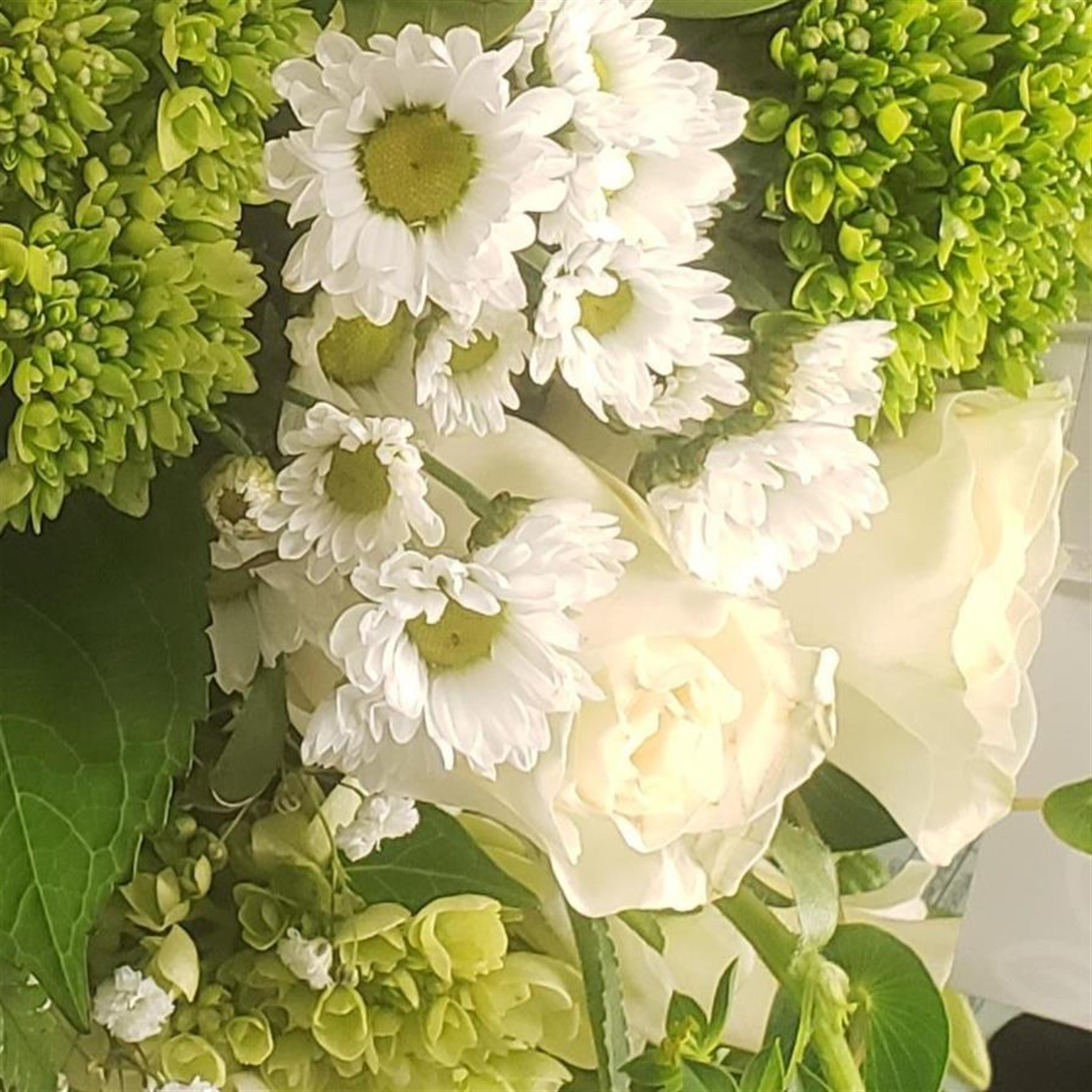 Catherine T. Shimizu