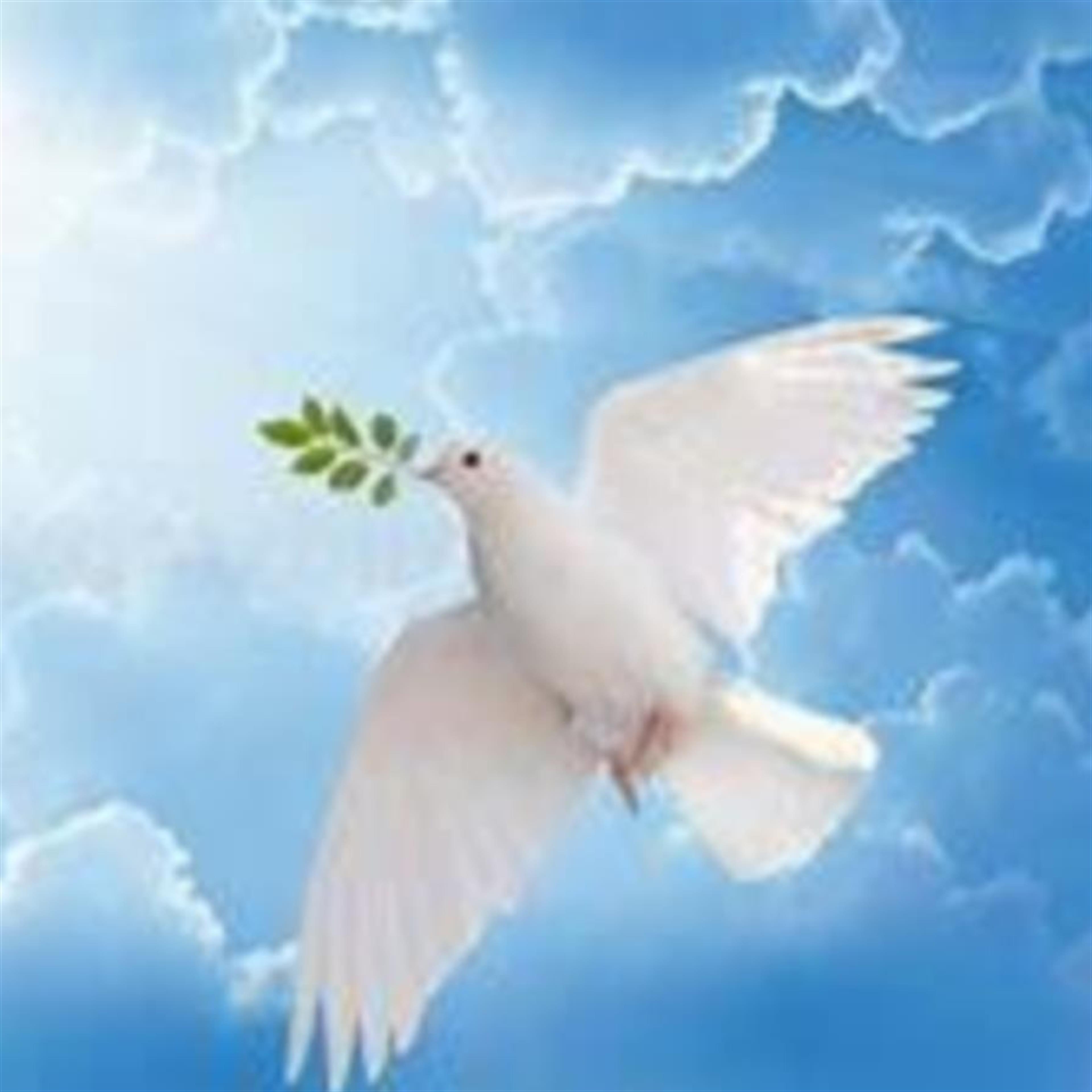 Ronald Ewald Anderson's obituary picture