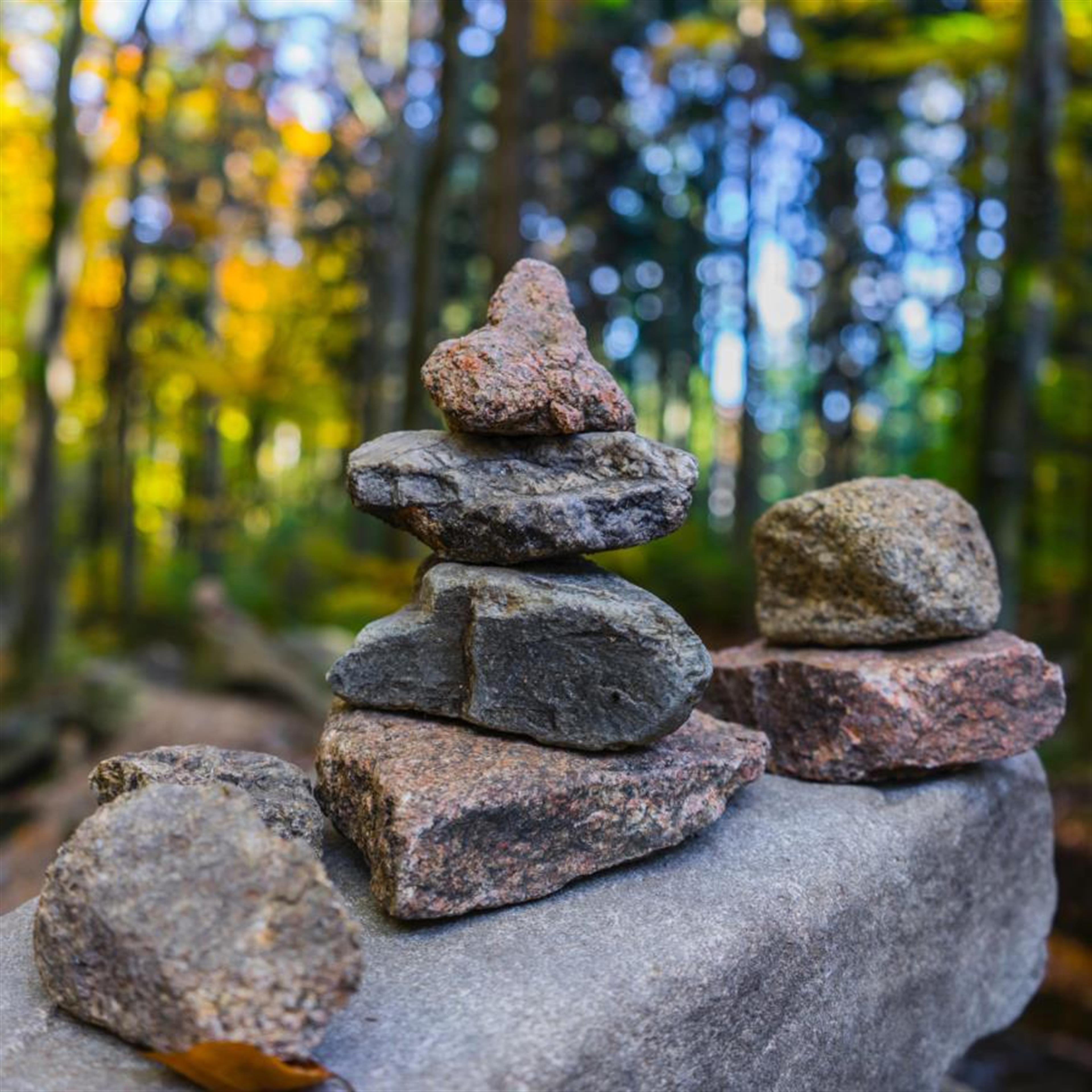 Harrold Forch's obituary picture