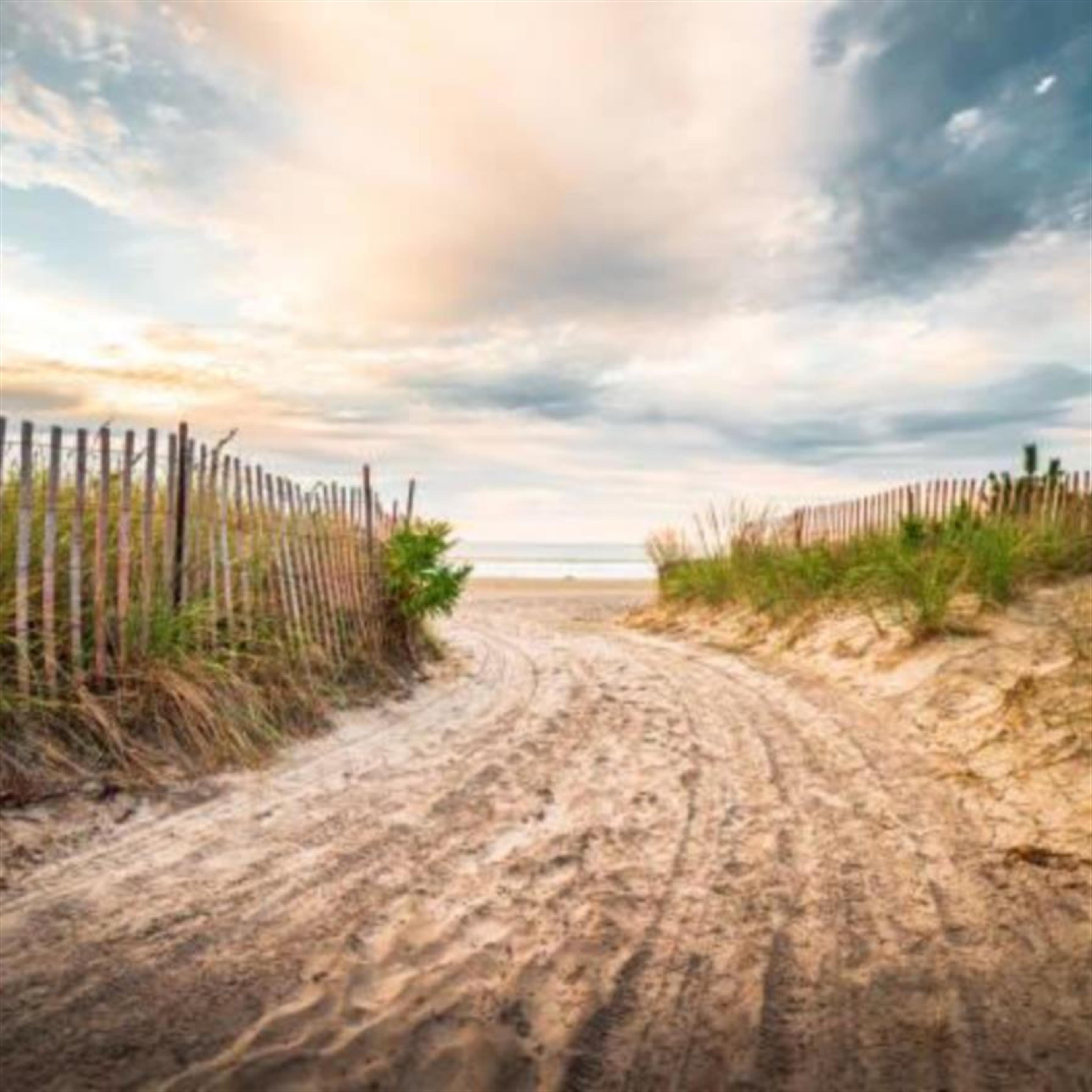 Barbara J. Connors Vaughan