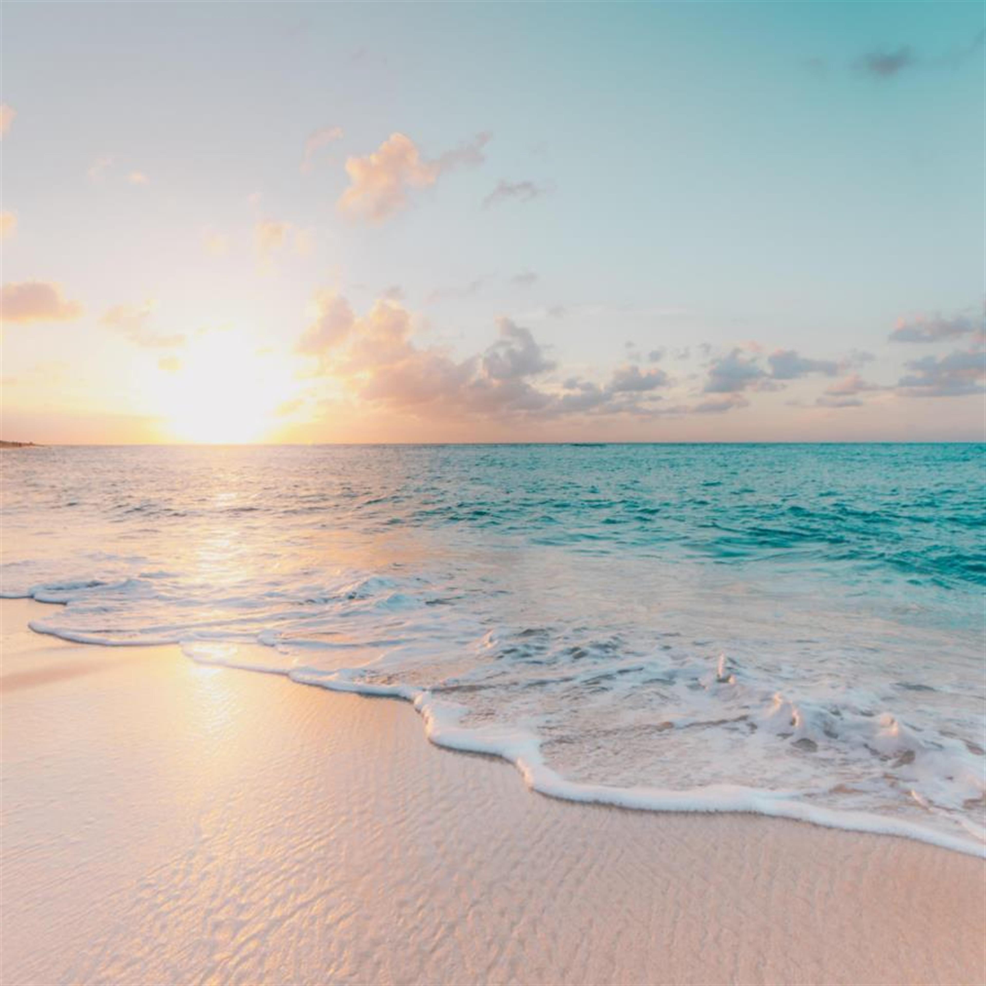 Shirley Ann Kotchkoe