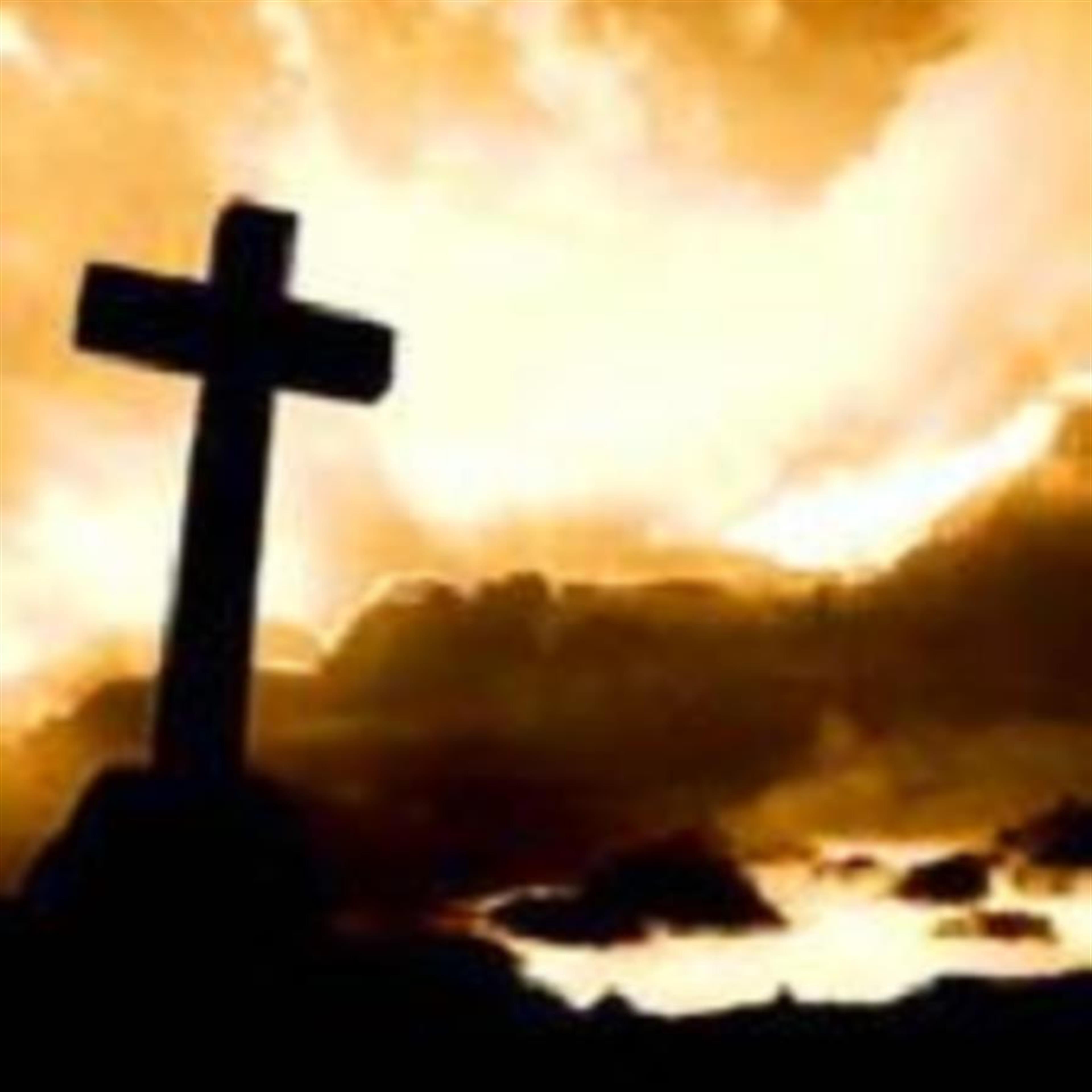 Herbert Dale Wiley (Bolivar)