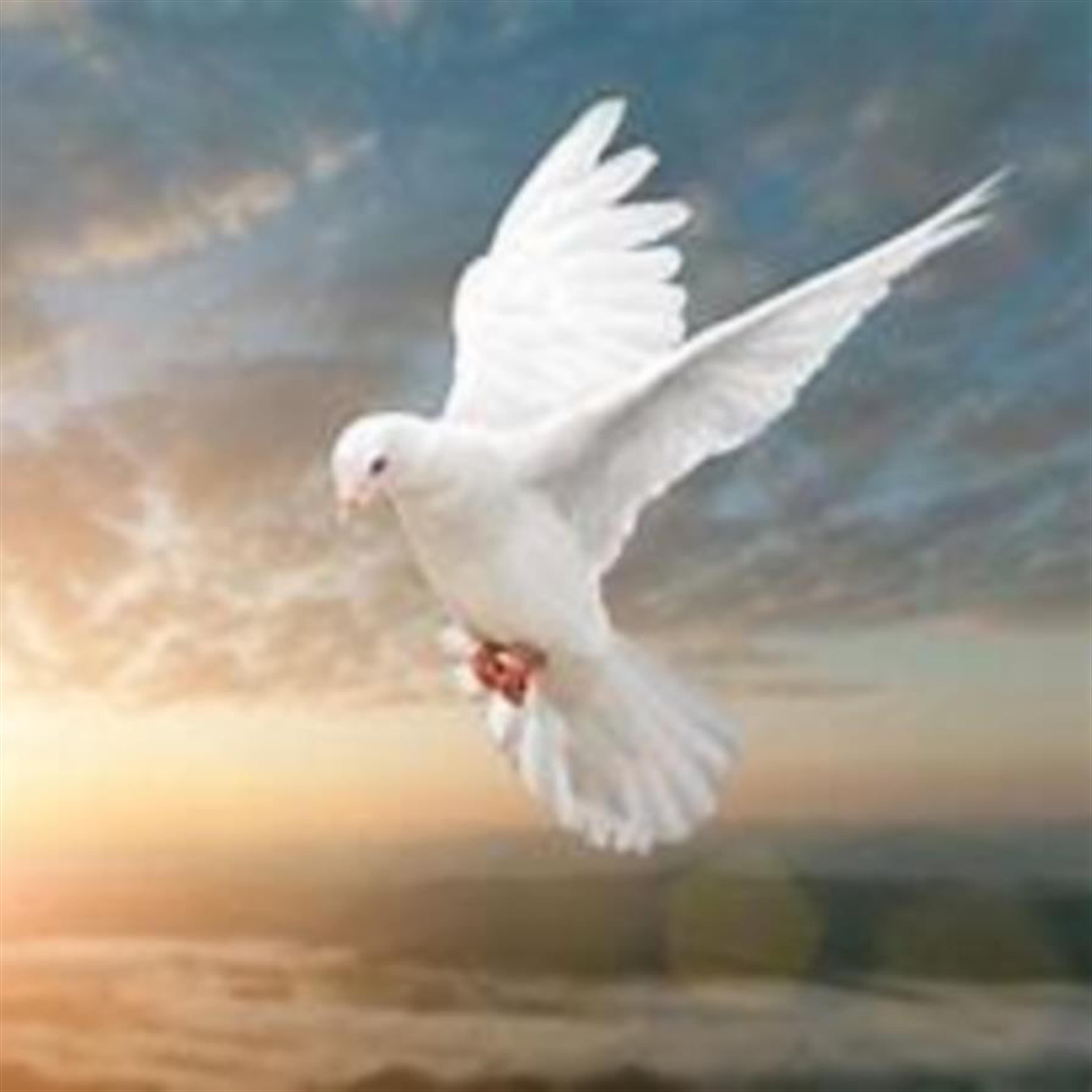 Herschel Devere Day's obituary picture