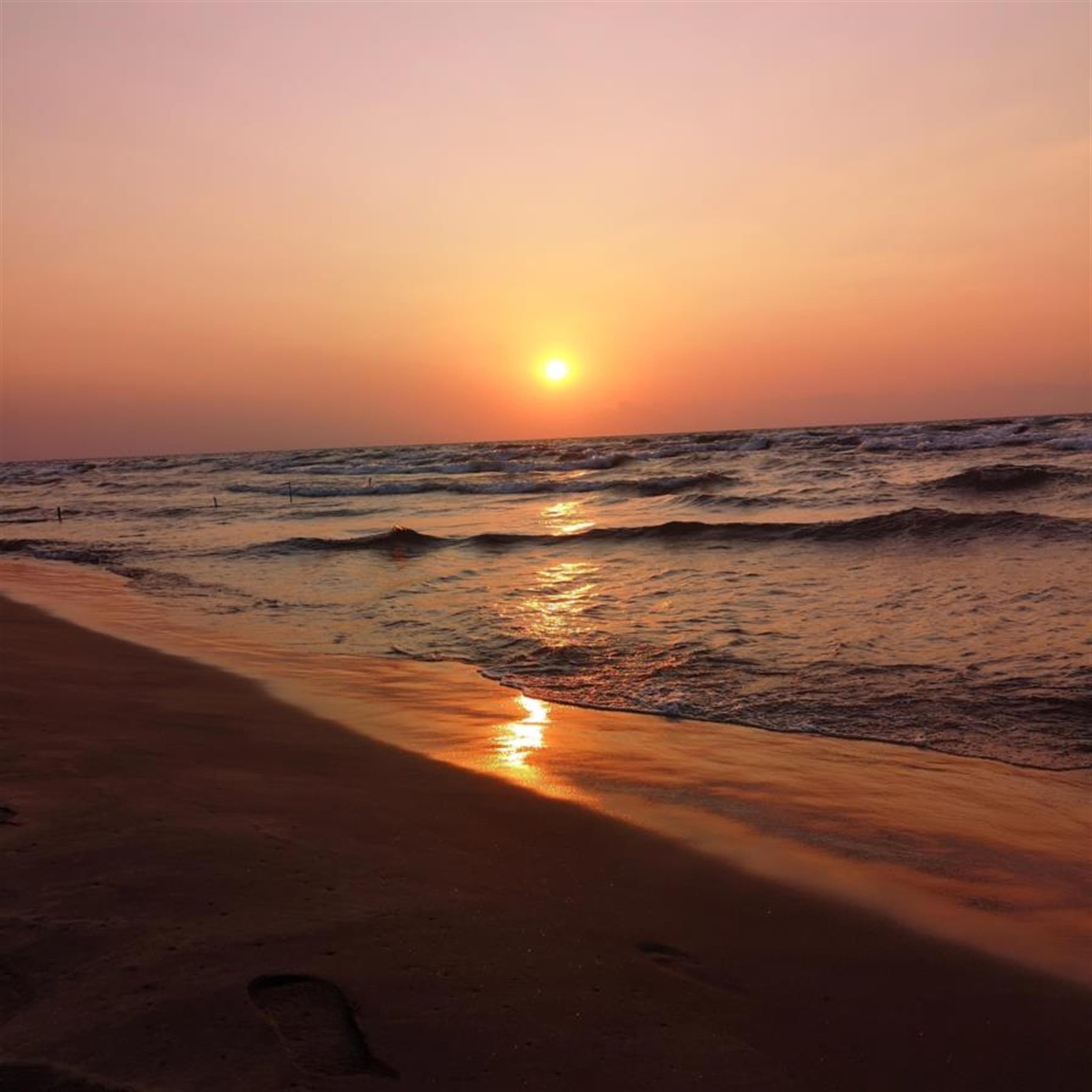 Marilynn Susich's obituary picture