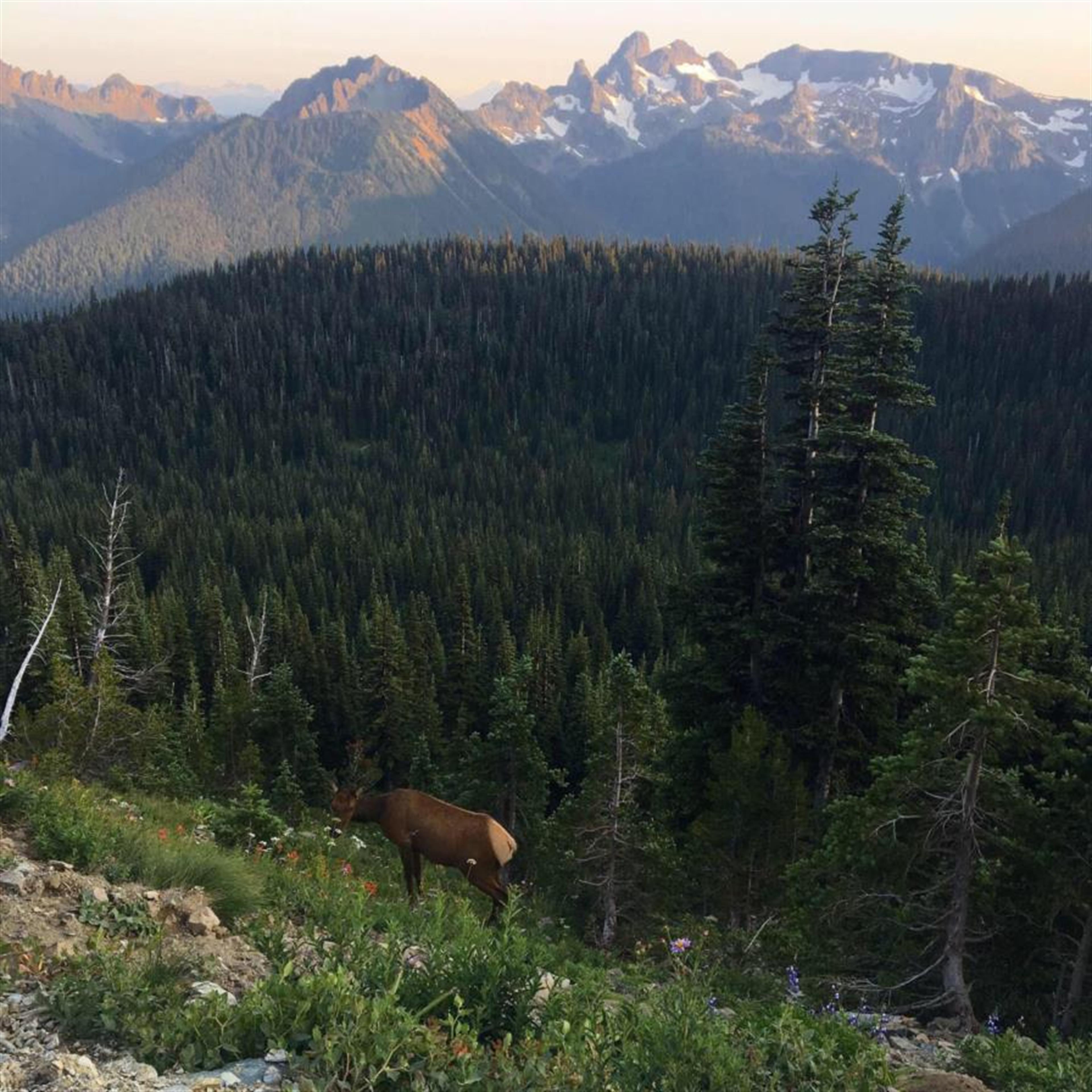 William "Bill" Stanchfield