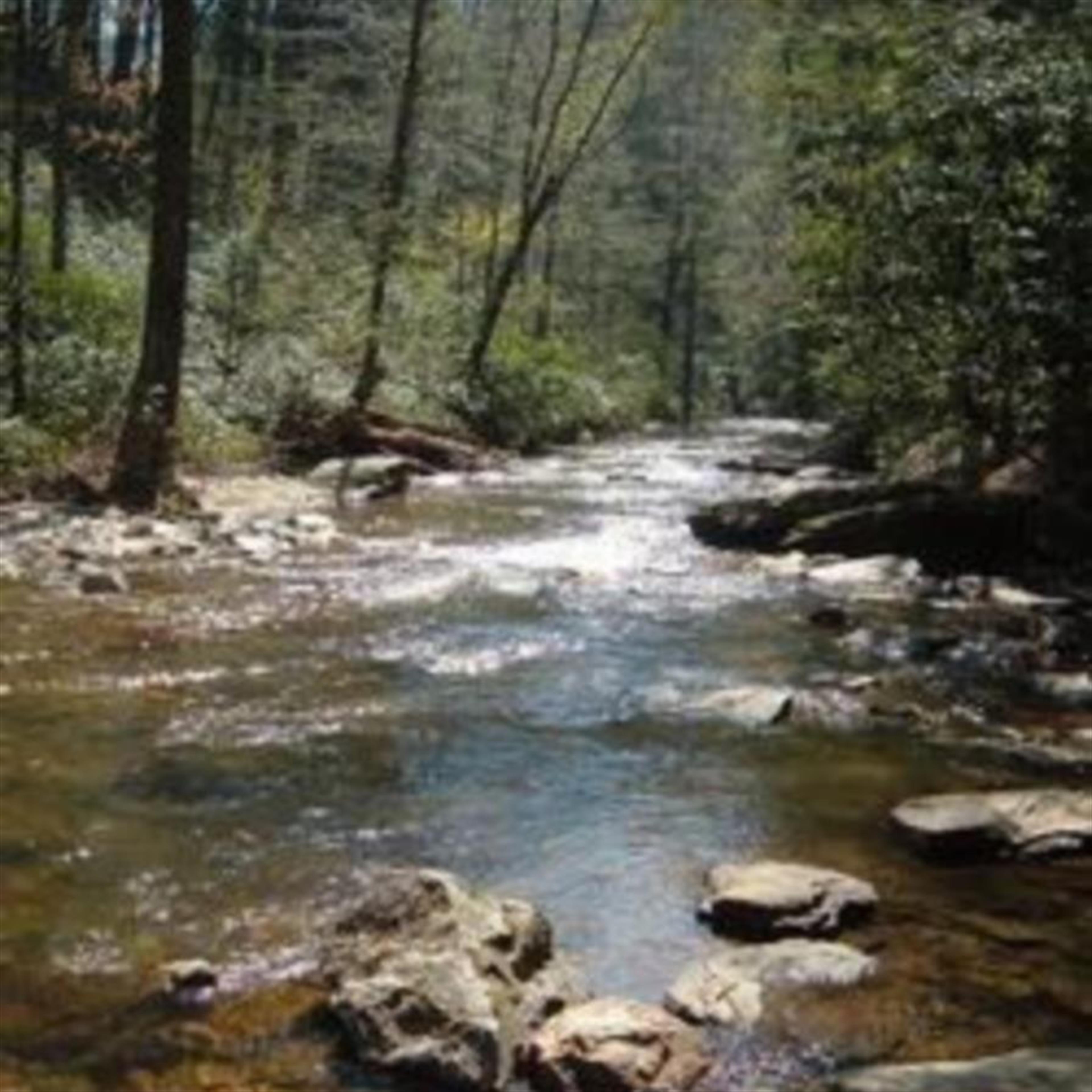 Harvey Gene Dawson (Camdenton)