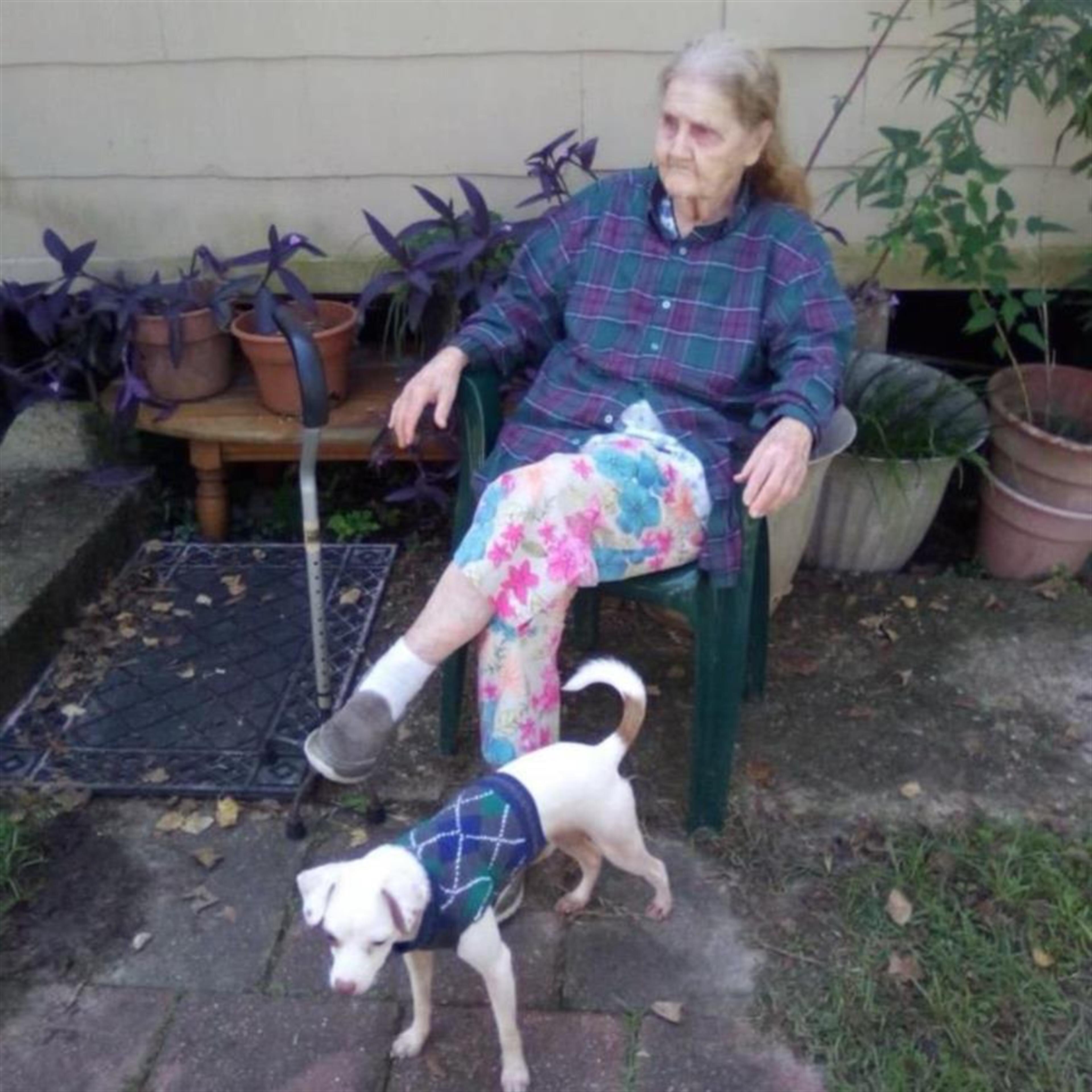 Lois Davis