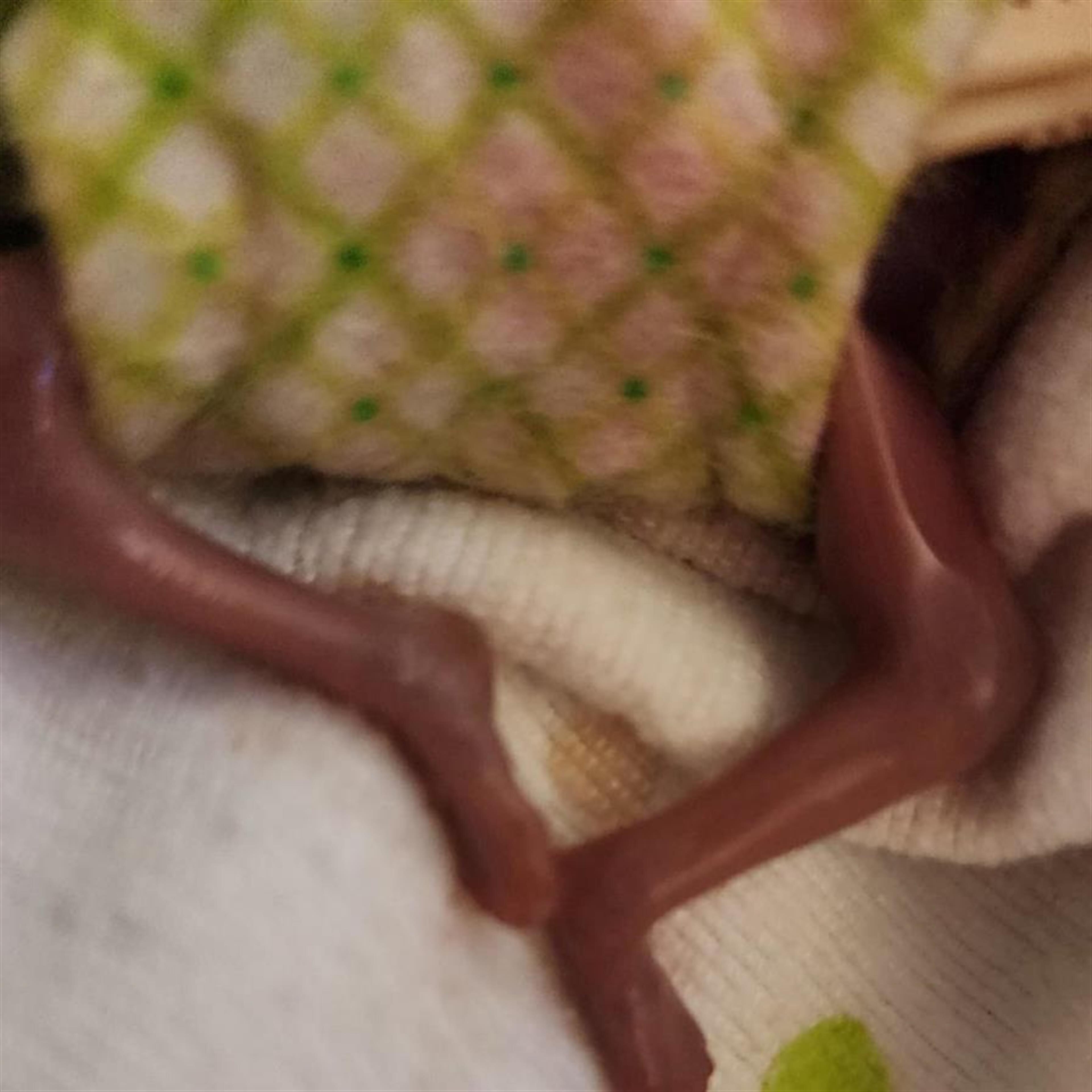 Delilah MaKenzie Bilby